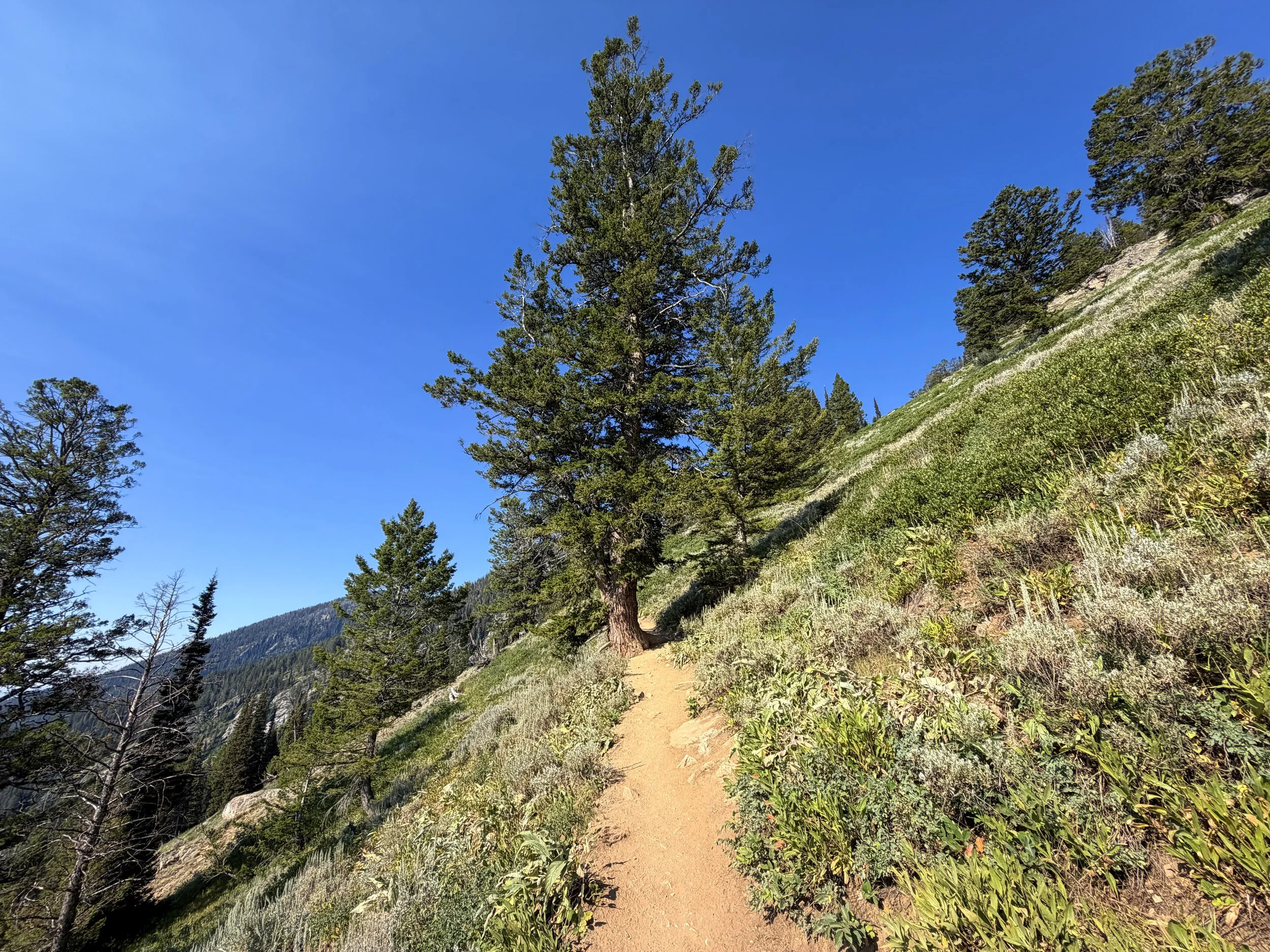 Delta Lake Trail Grand Teton National Park Wyoming