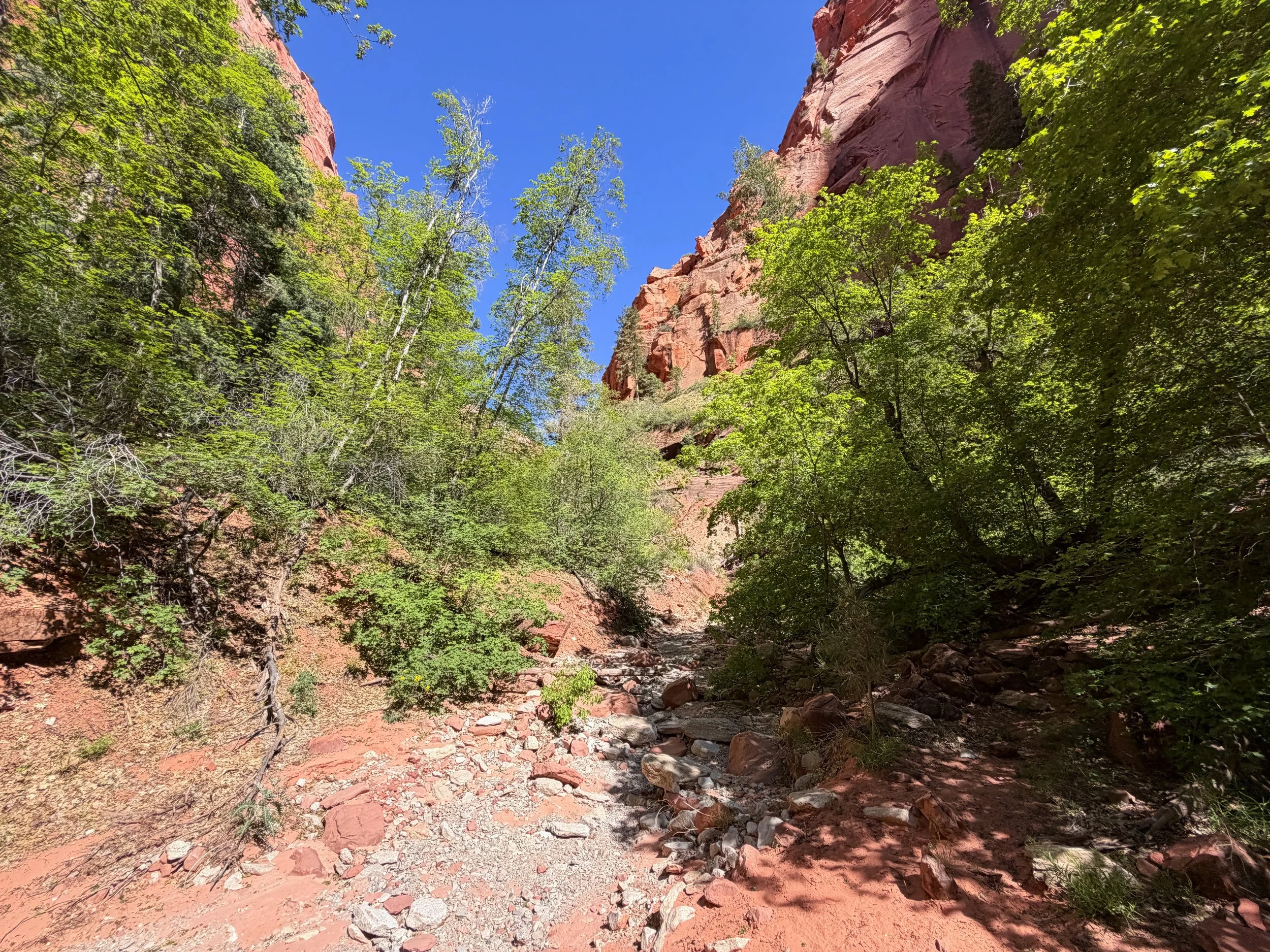 Taylor Creek Trail Zion National Park Utah