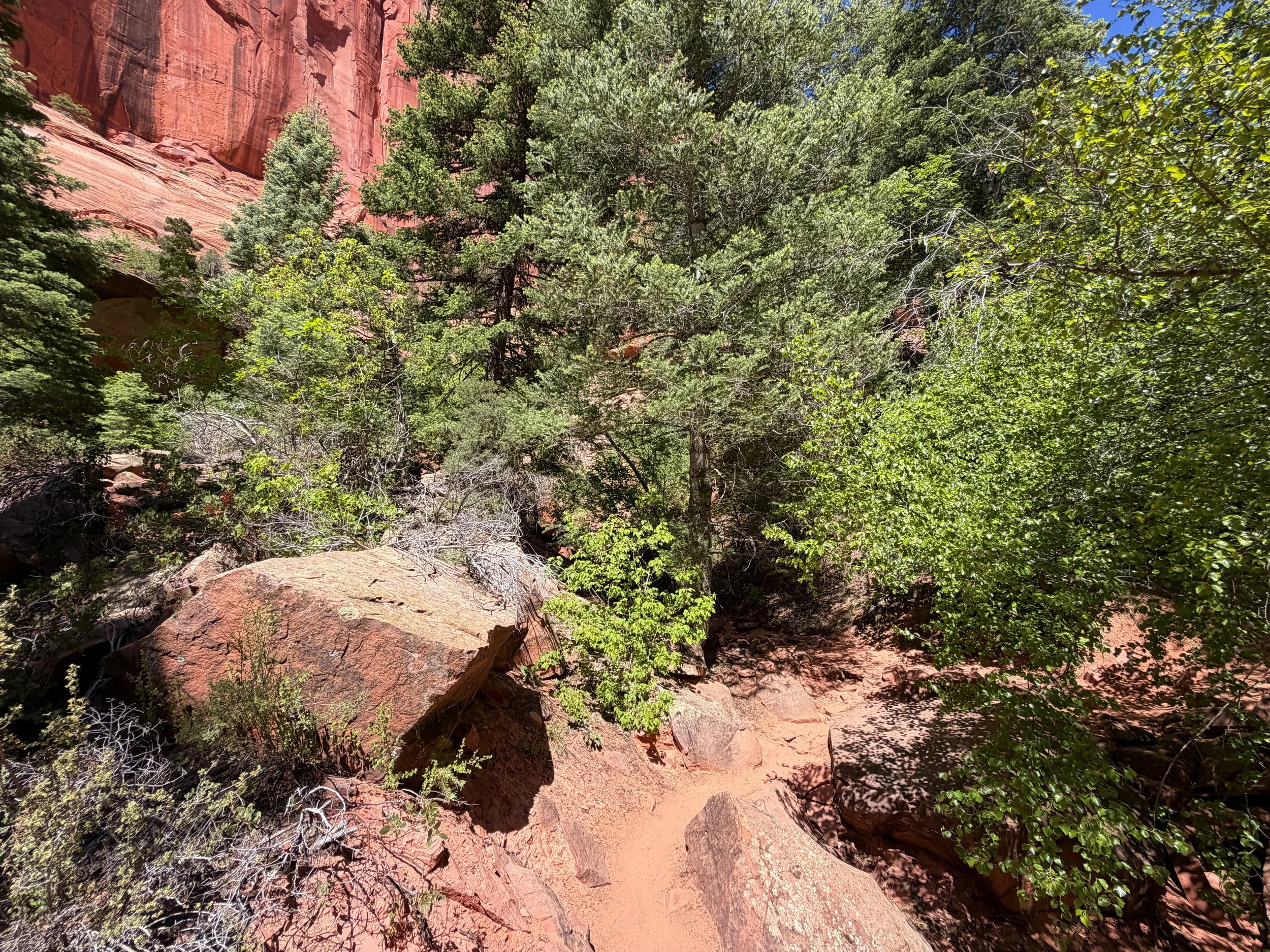 Taylor Creek Trail Zion National Park Utah