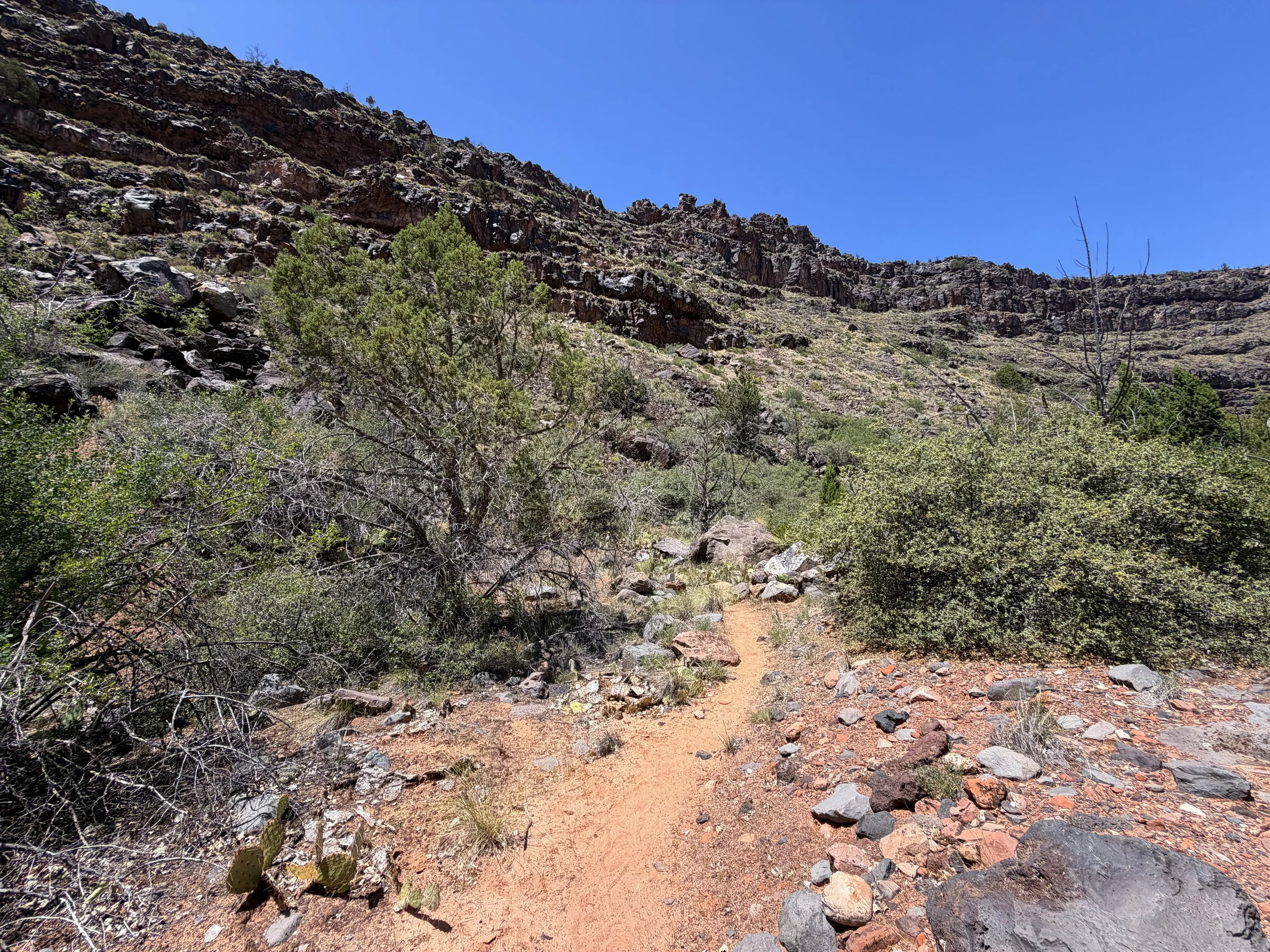 Grapevine Trail to Left Fork Falls Zion National Park Utah