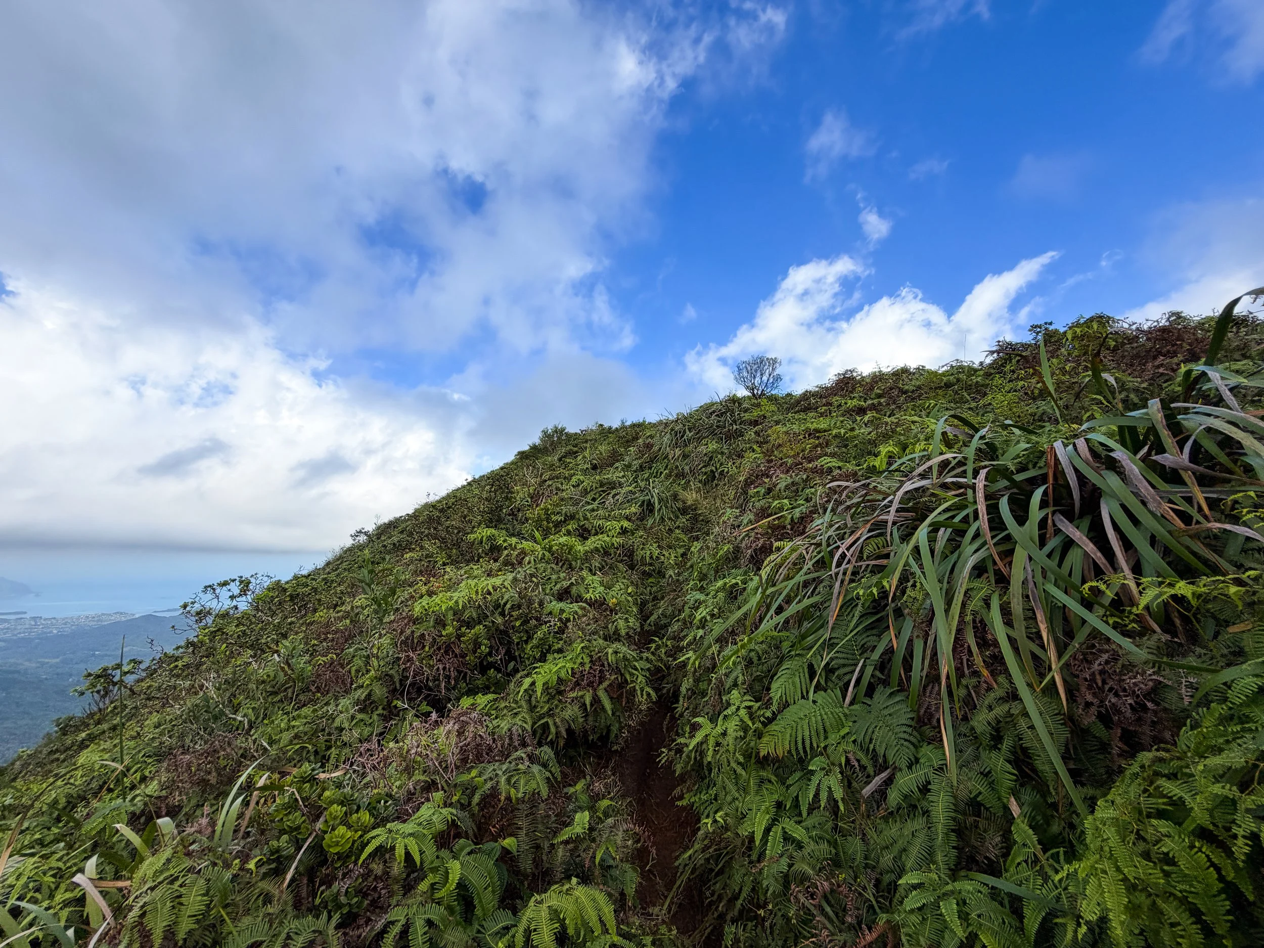 Kaau Crater Trail Oahu Hawaii
