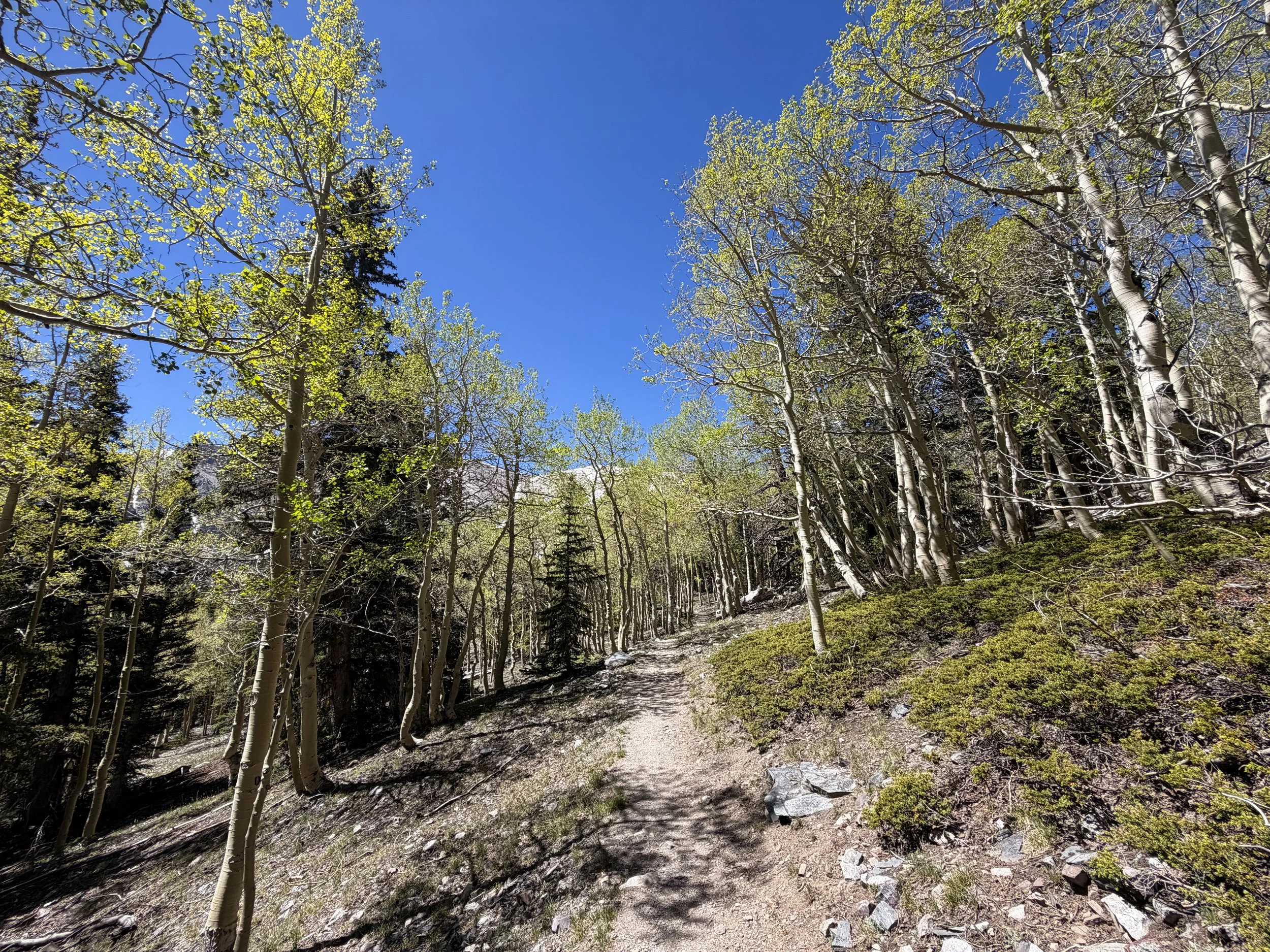 Wheeler Peak Summit Hike Great Basin National Park Nevada