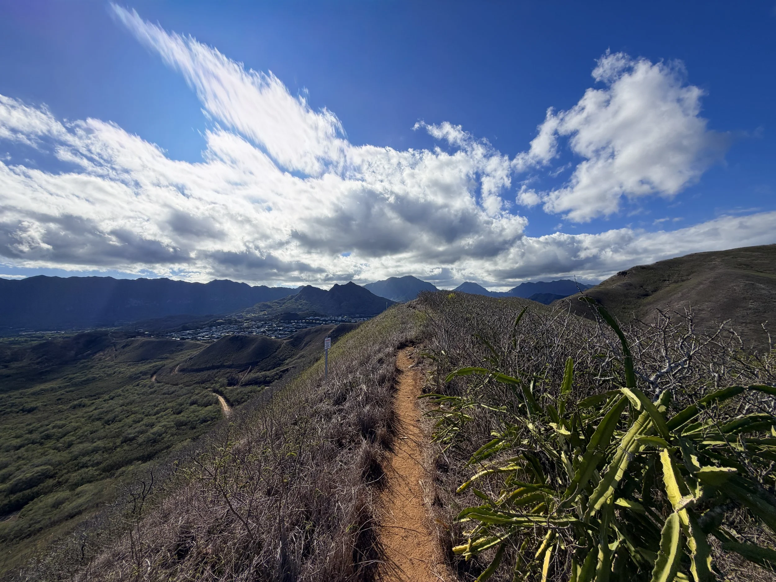Back Way Kaiwa Ridge Hike Oahu Hawaii