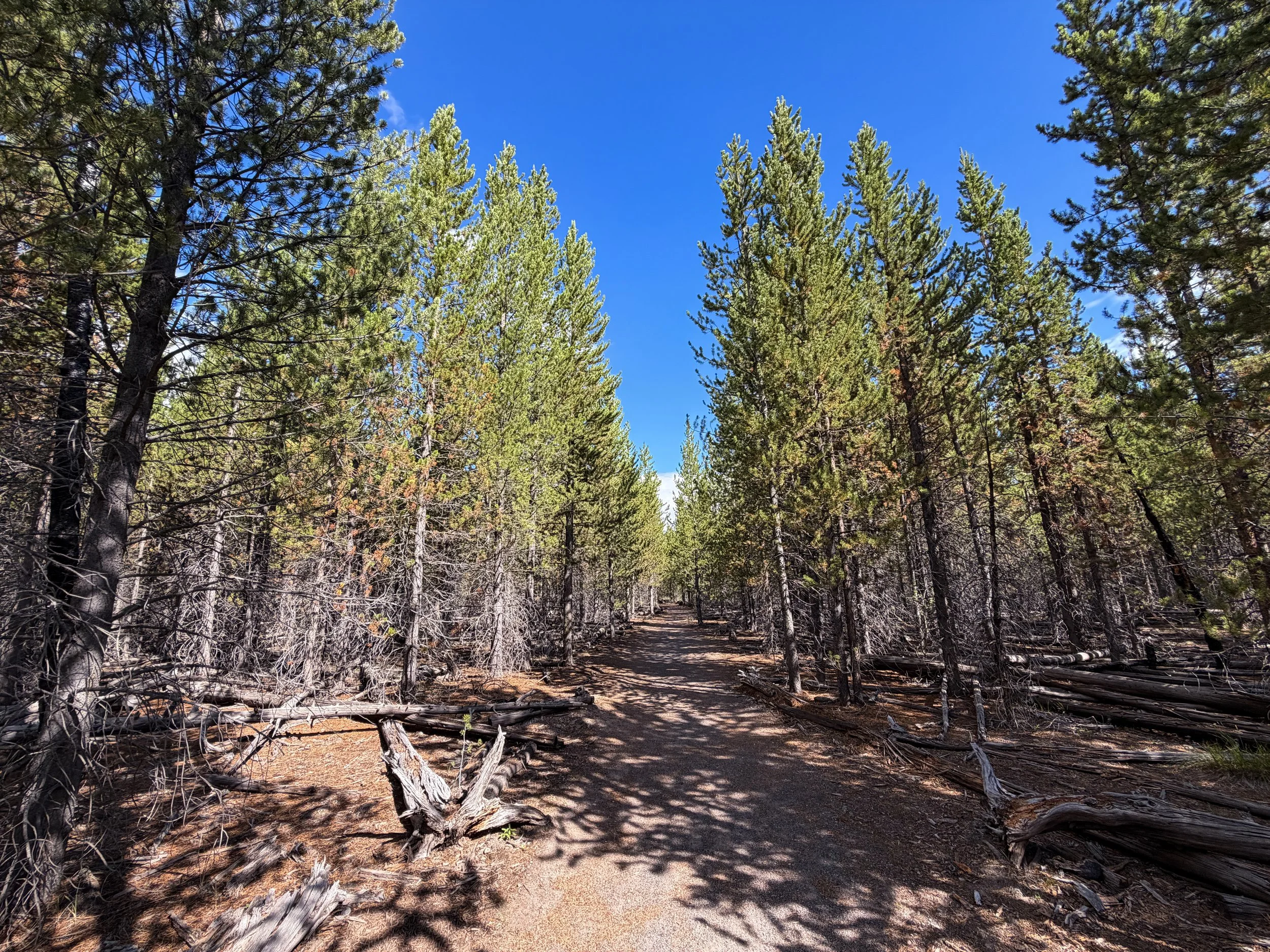Fairy Falls Trail to Imperial Geyser Yellowstone National Park Wyoming