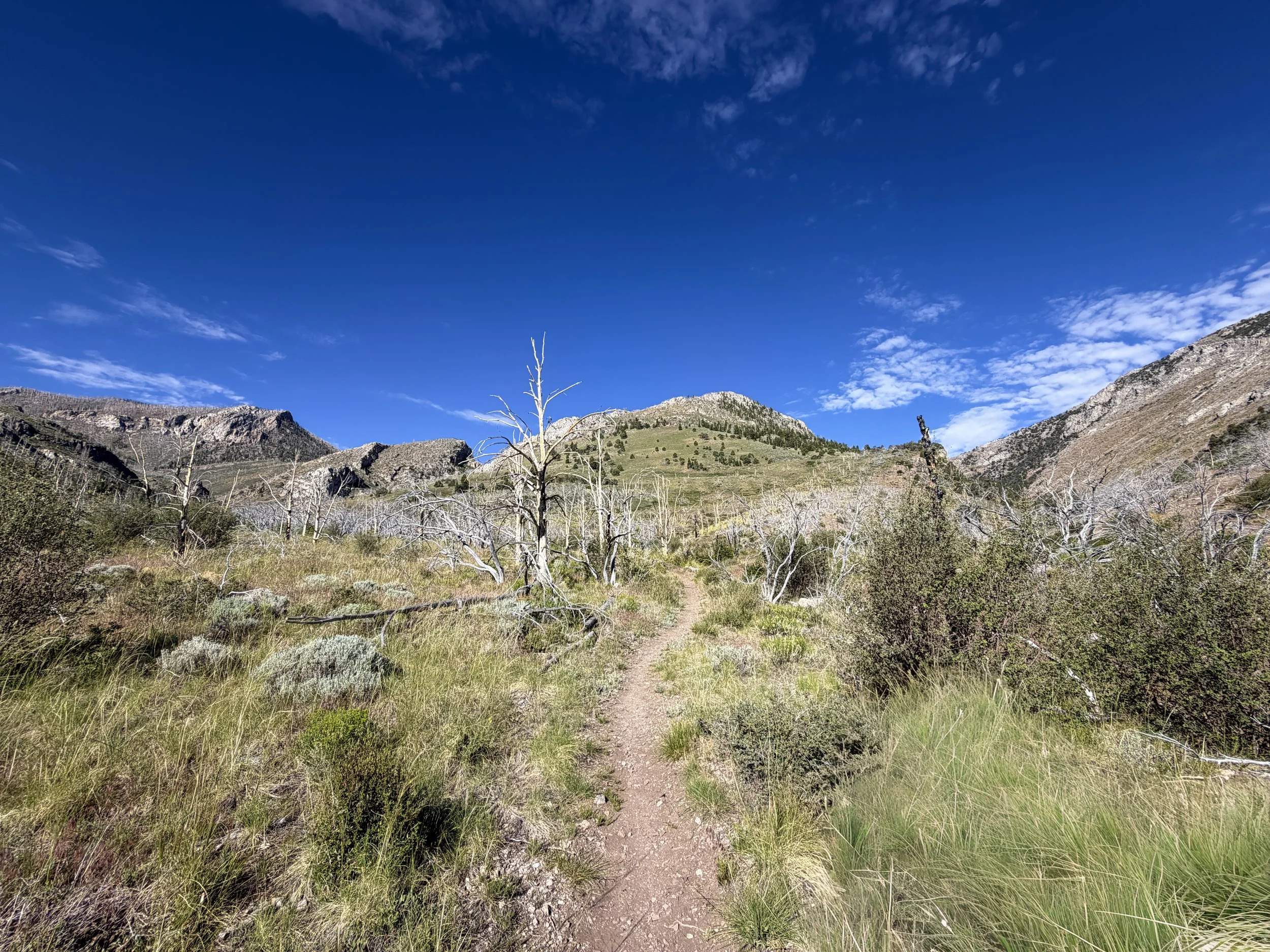Lexington Arch Hike Great Basin National Park Nevada
