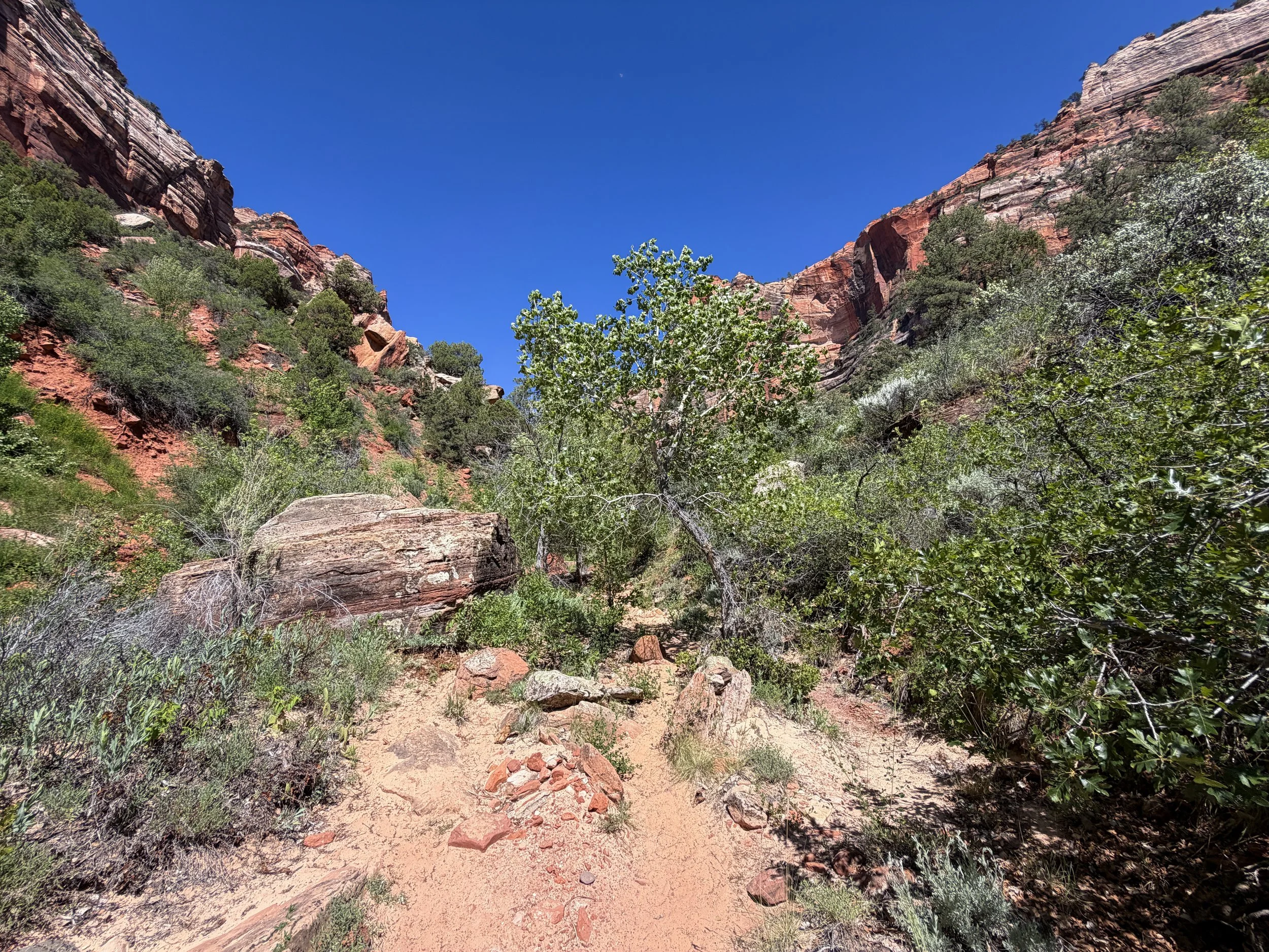 Subway Trail Left Fork North Creek Zion National Park Utah