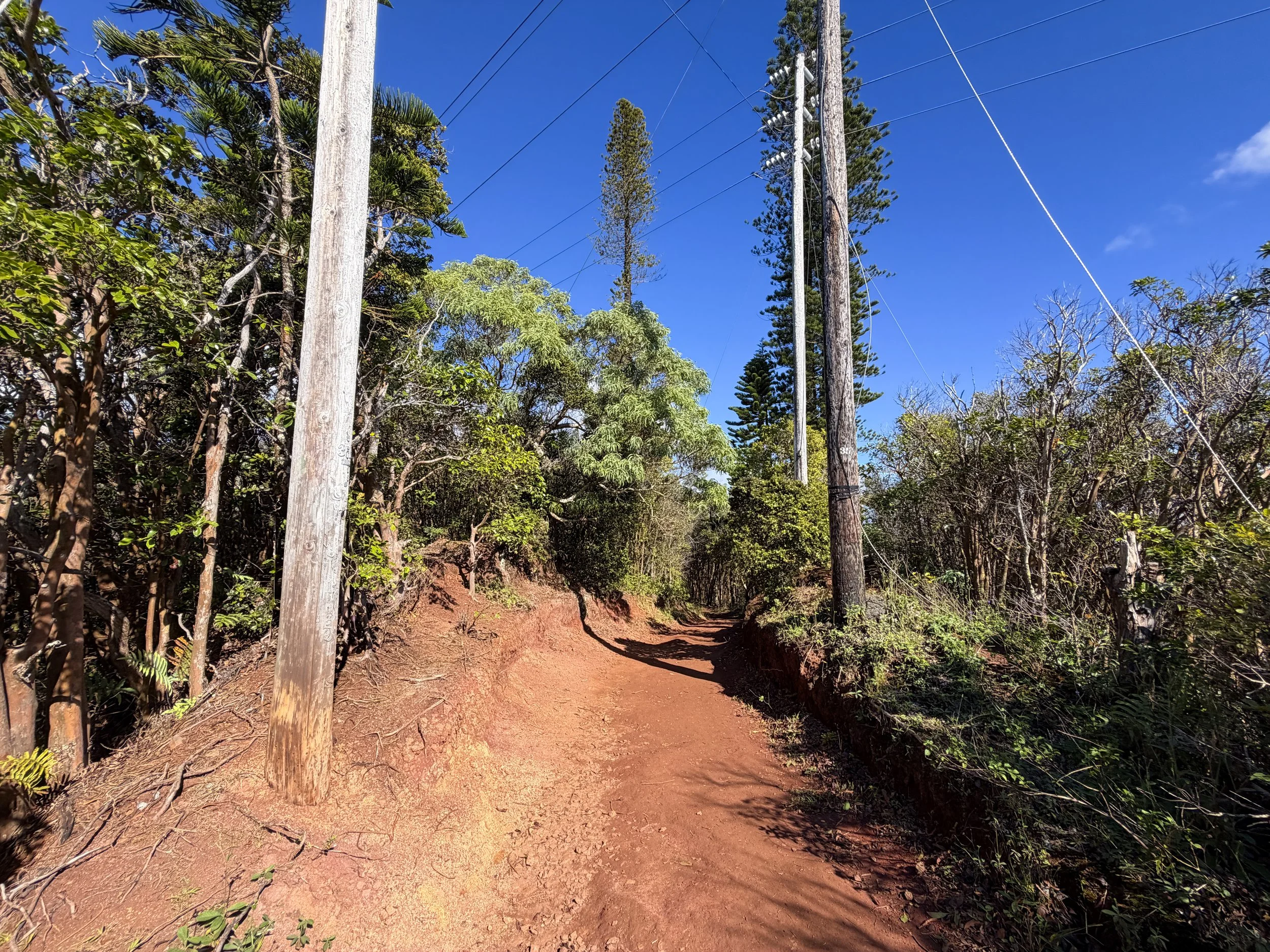 Wiliwilinui Ridge Hike Oahu Hawaii