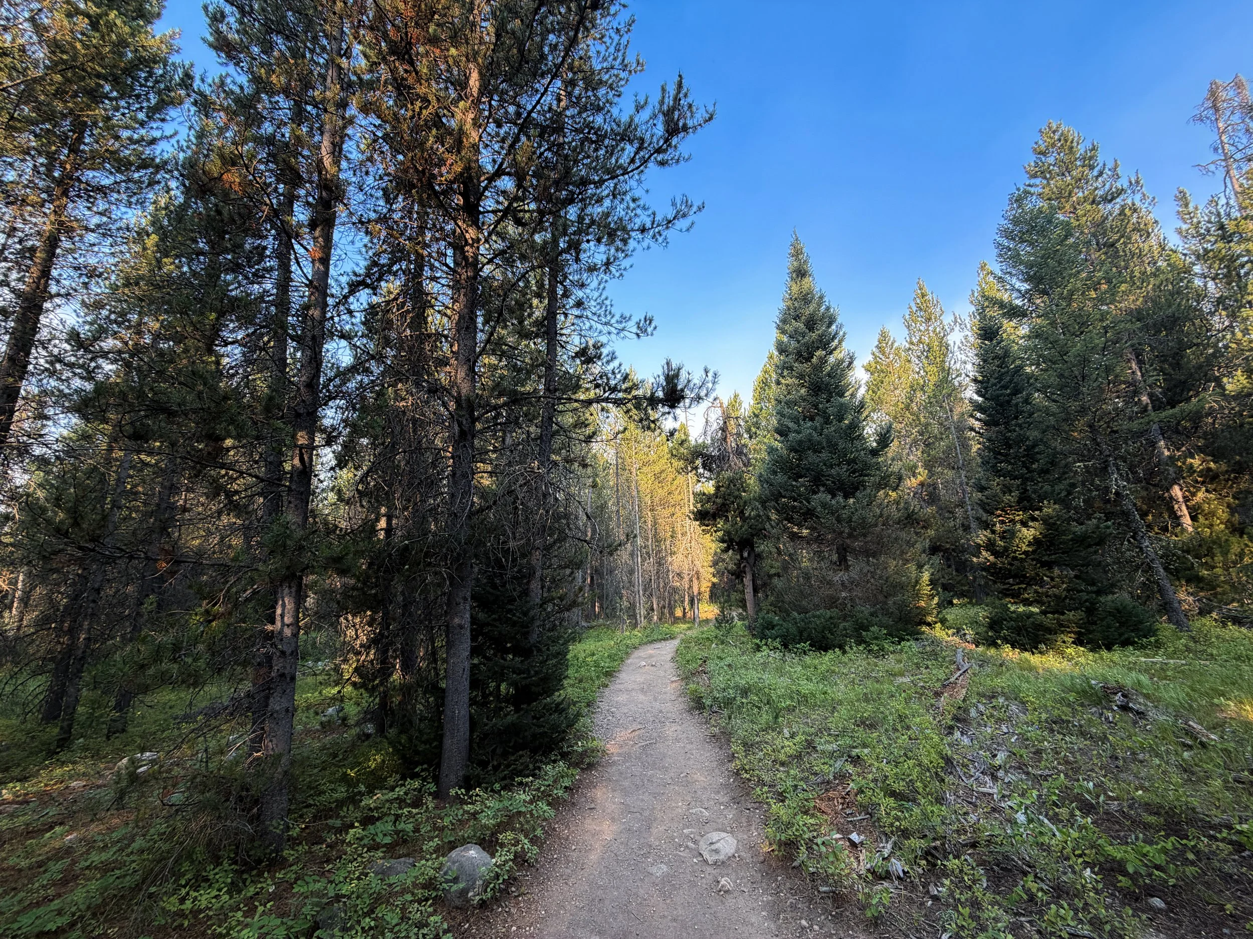 Boulder Ridge Loop Trail Grand Teton National Park Wyoming