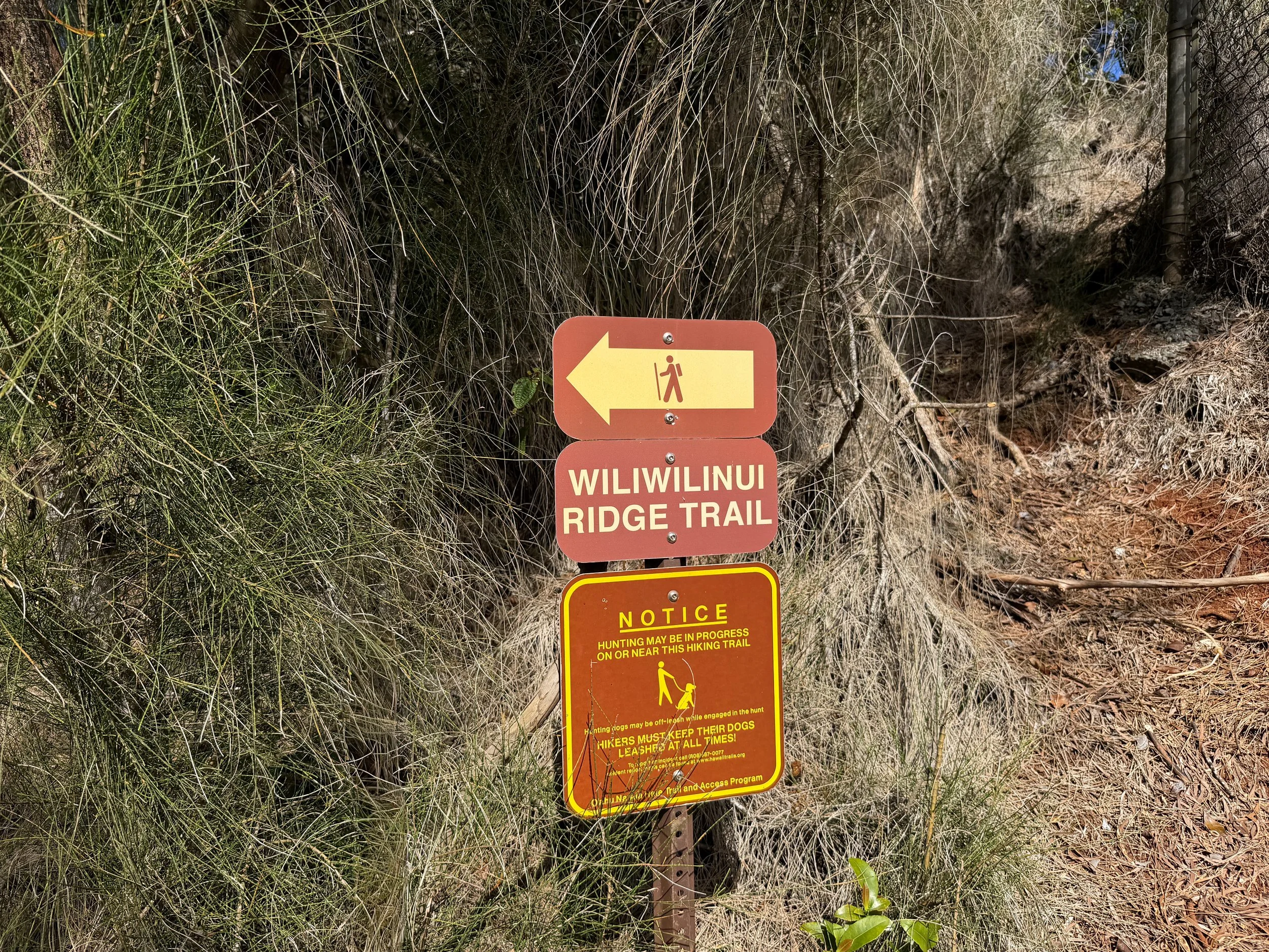 Wiliwilinui Ridge Trail Oahu Hawaii