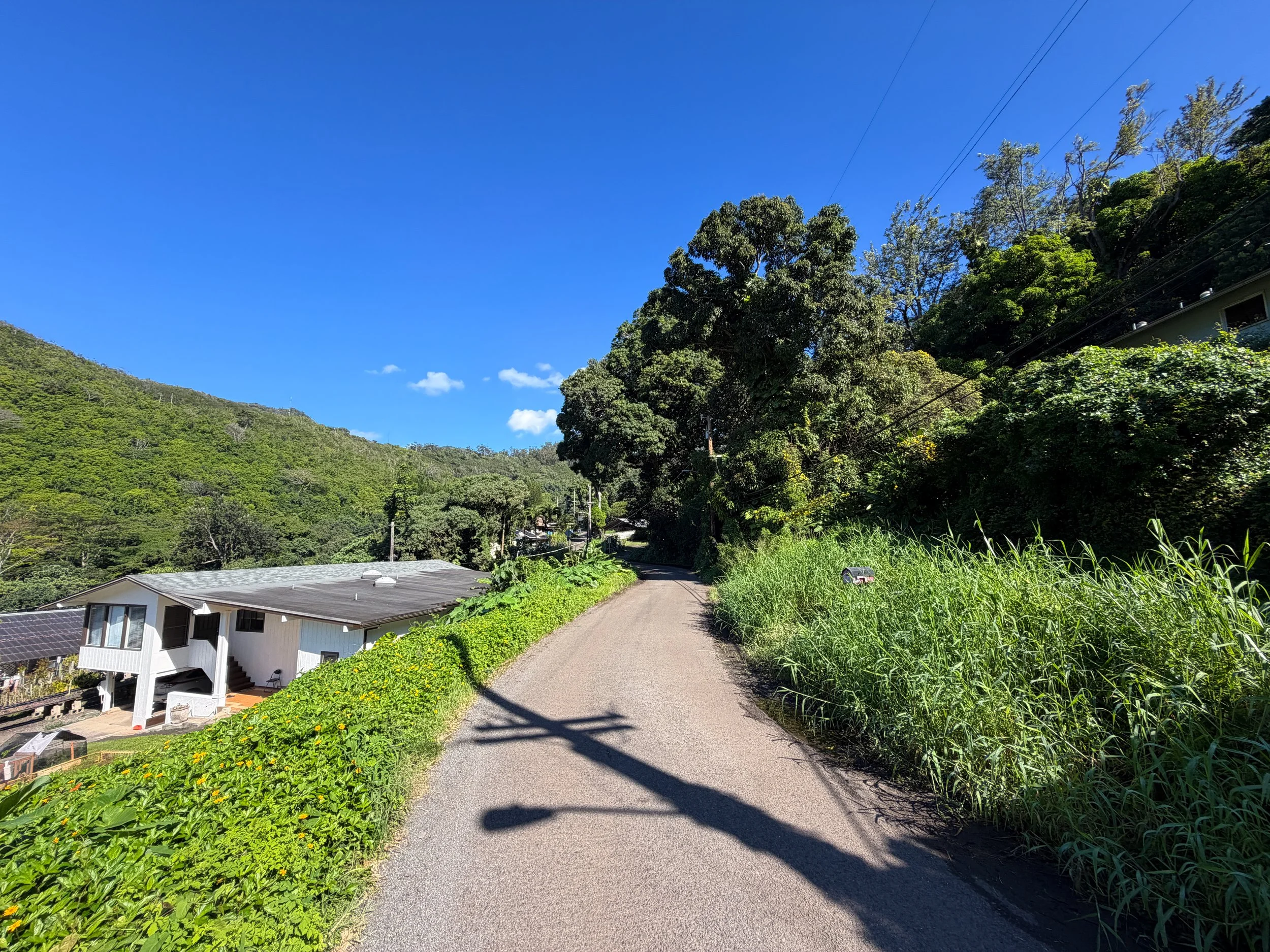 Walking to the Kaau Crater Trailhead Oahu Hawaii