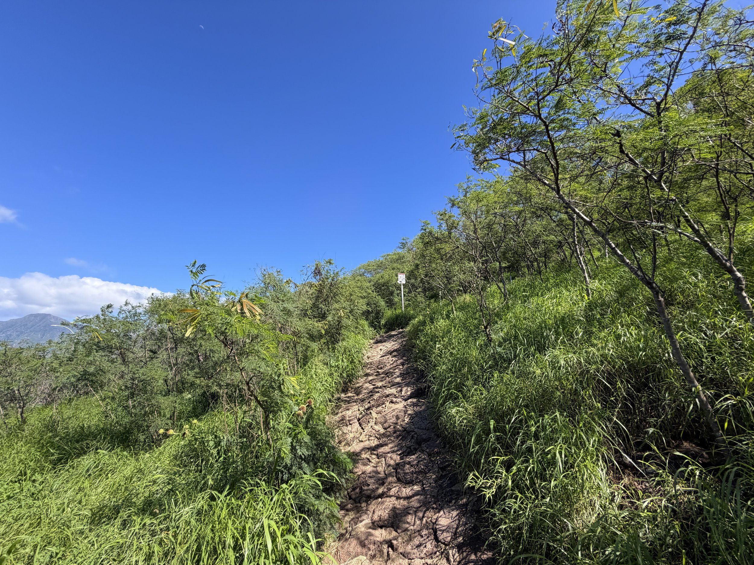 Puu O Hulu Trail Oahu Hawaii