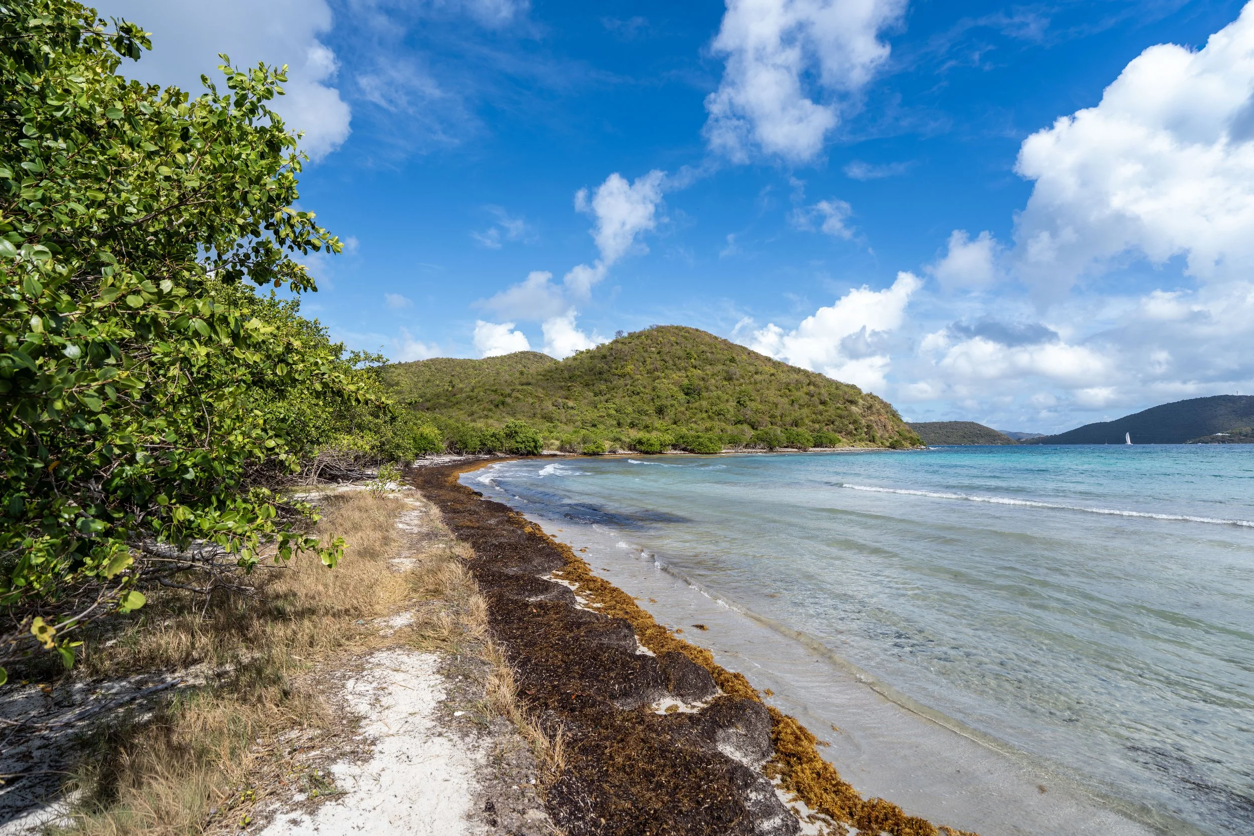 Brown Bay Trail Virgin Islands National Park