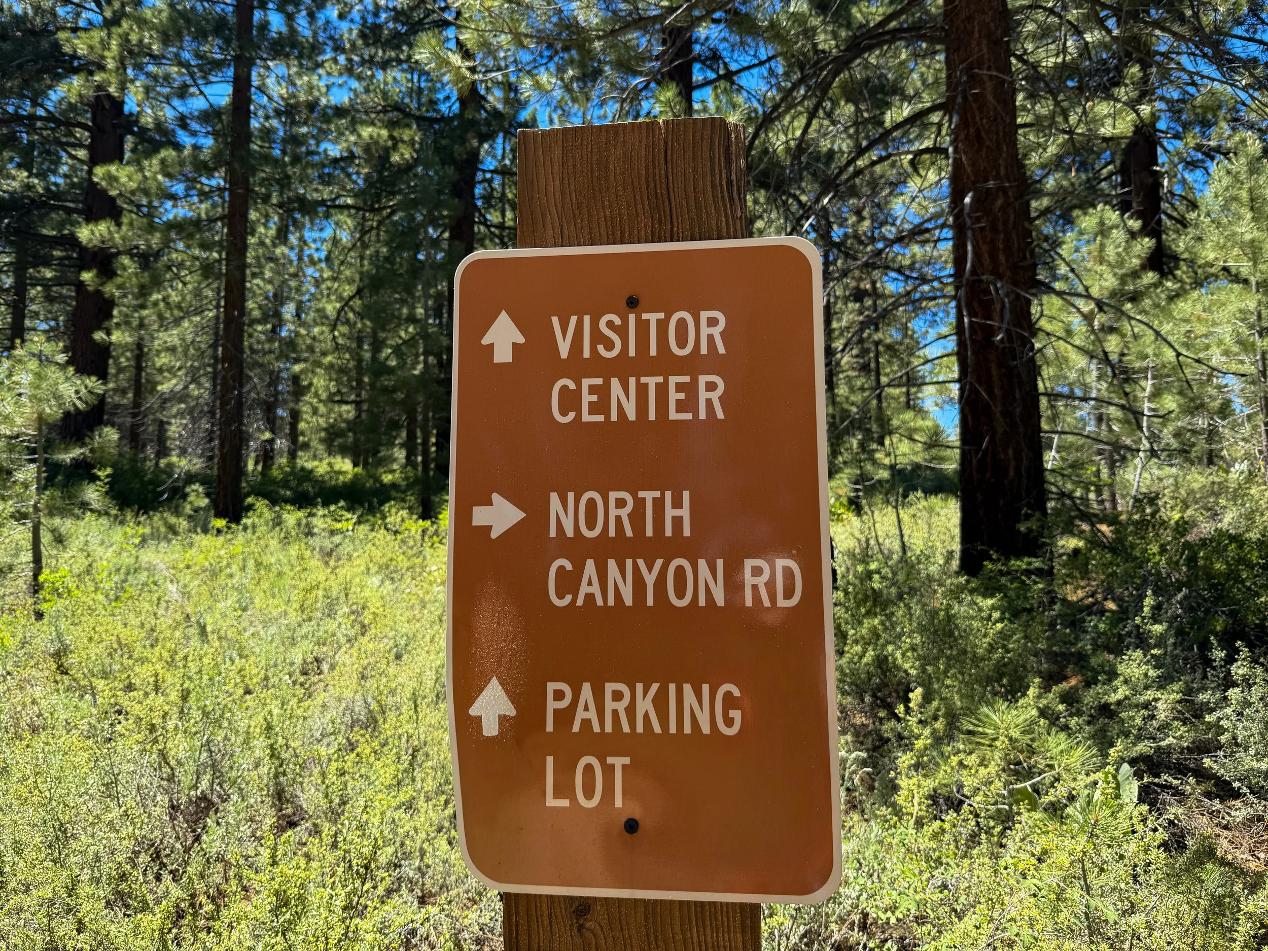 Spooner Lake Loop Trail Lake Tahoe Nevada