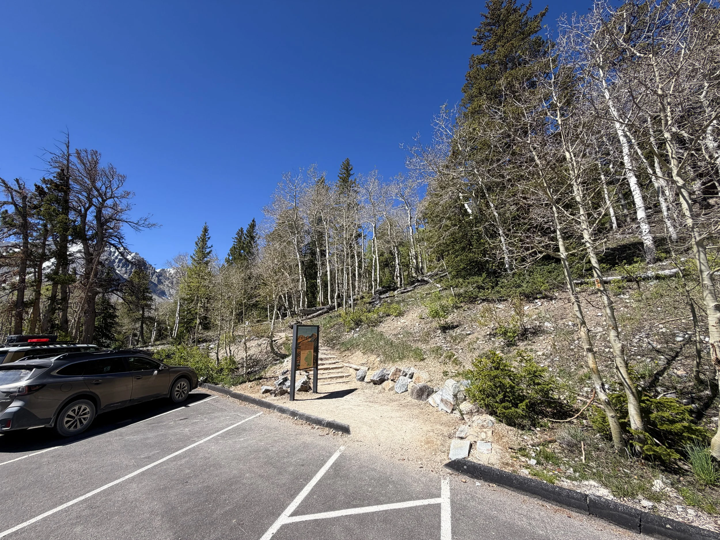 Wheeler Peak Summit Trailhead Great Basin National Park Nevada