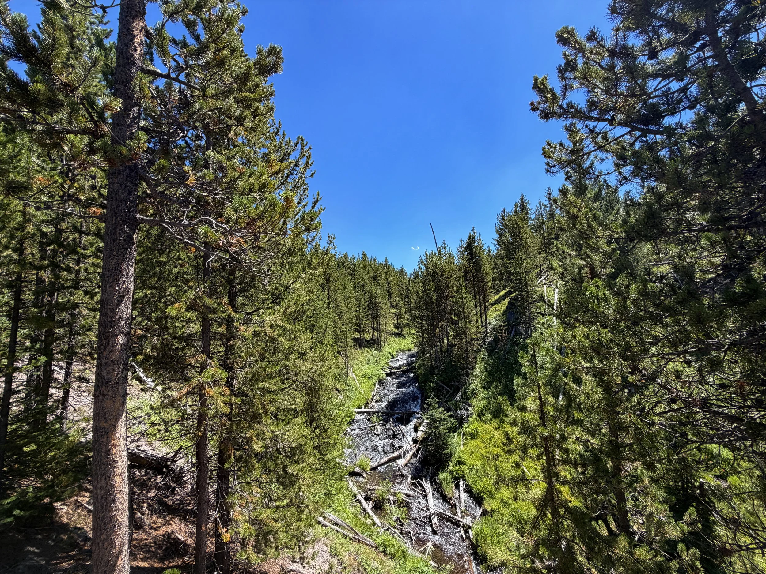 Fern Cascades Yellowstone National Park Wyoming