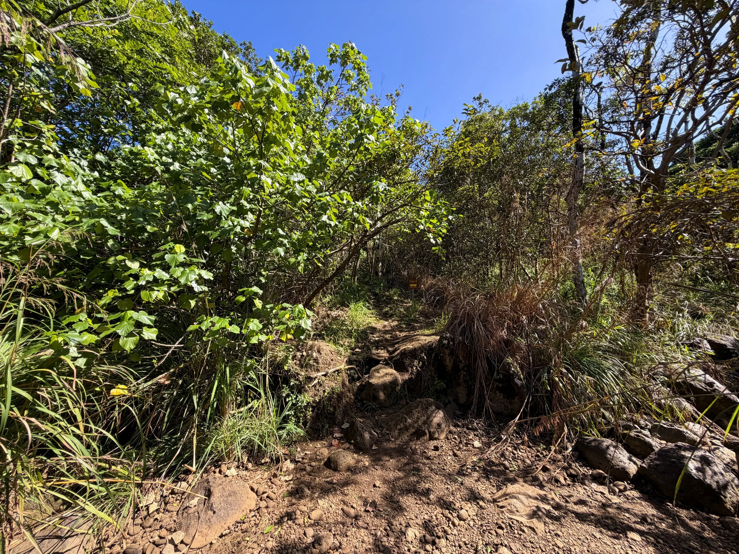 Kulanaahane Trailhead Oahu Hawaii