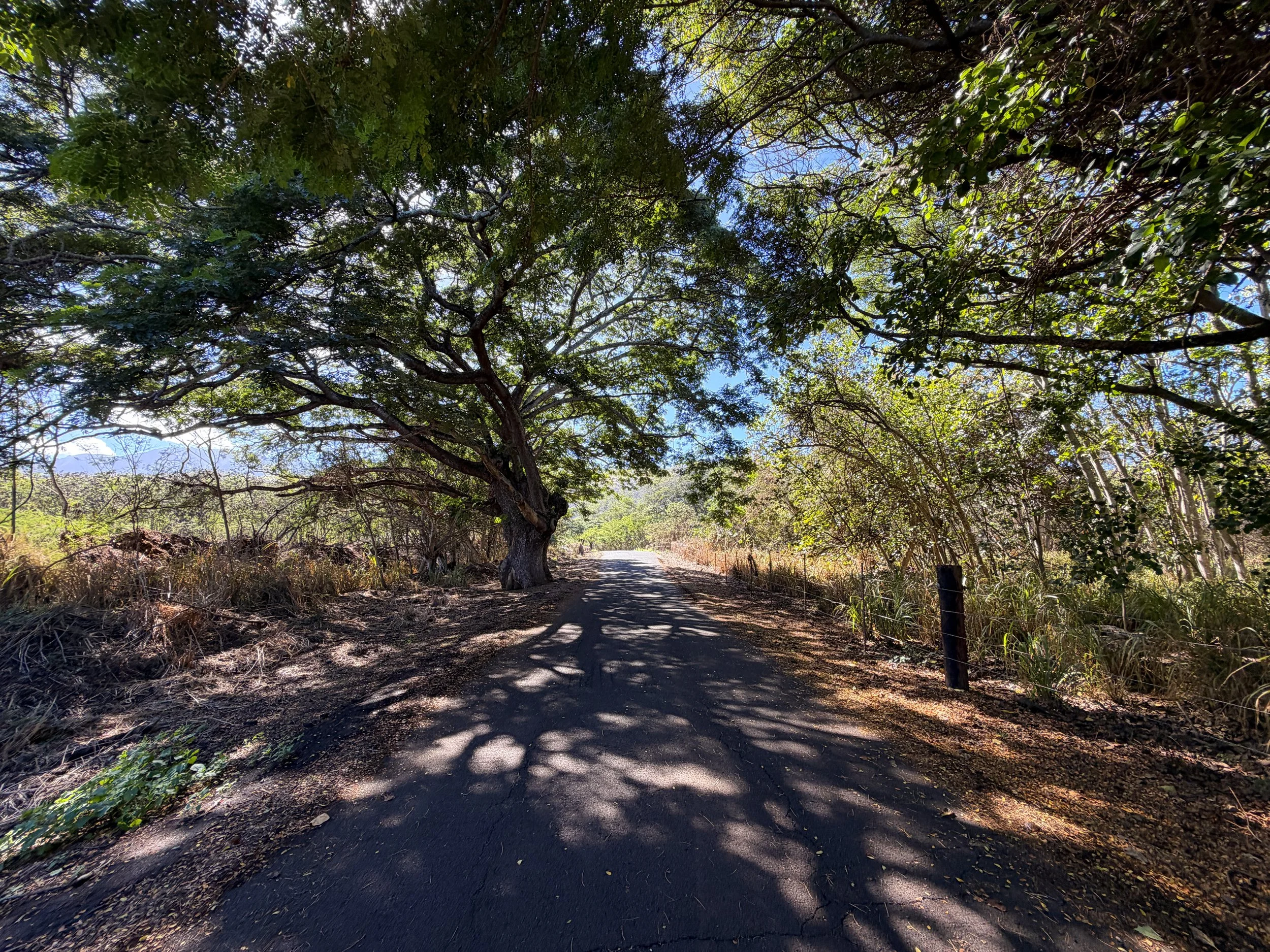 Mokuleia Access Road Trail Oahu Hawaii