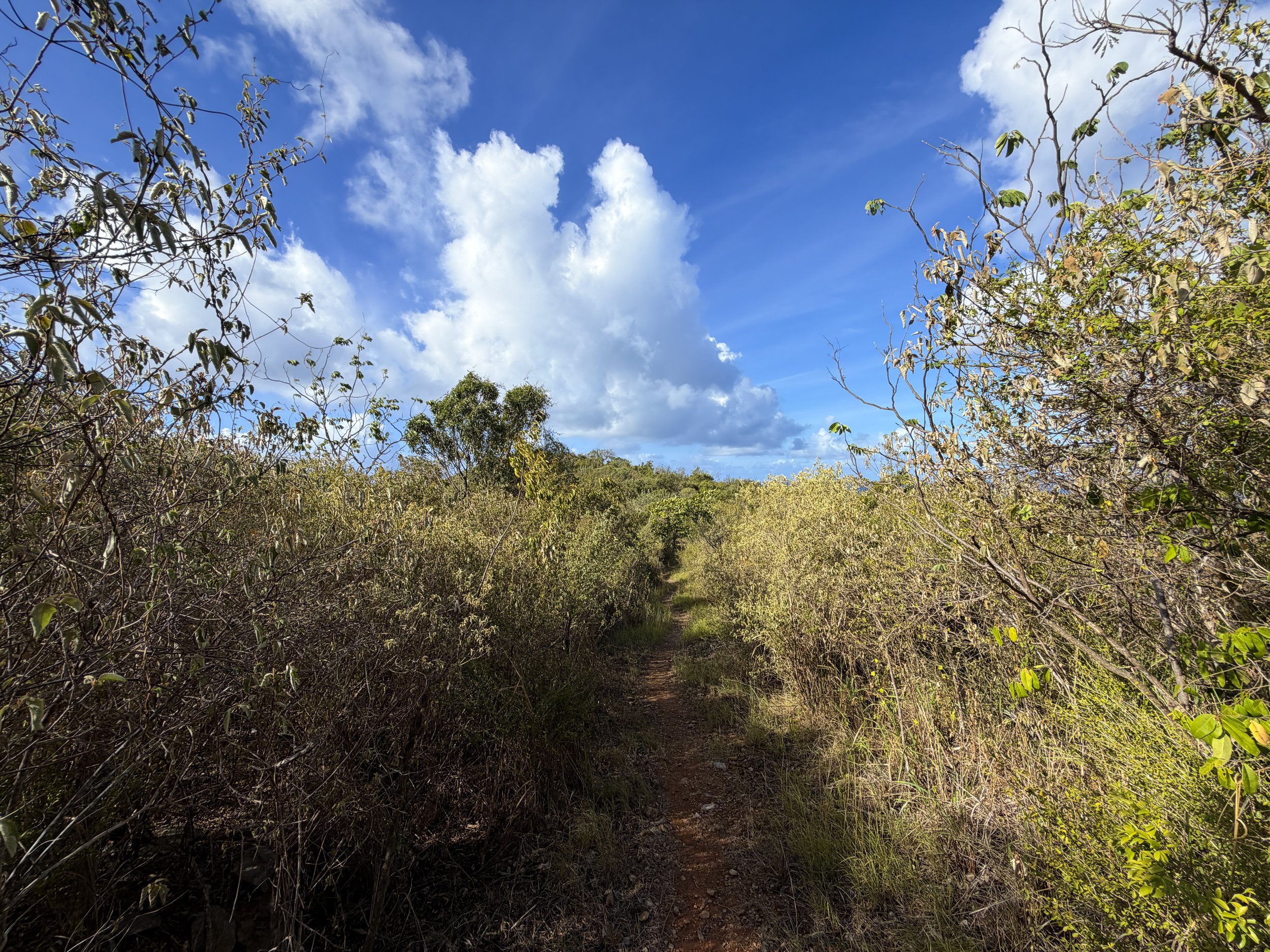 Tektite Hike Virgin Islands National Park