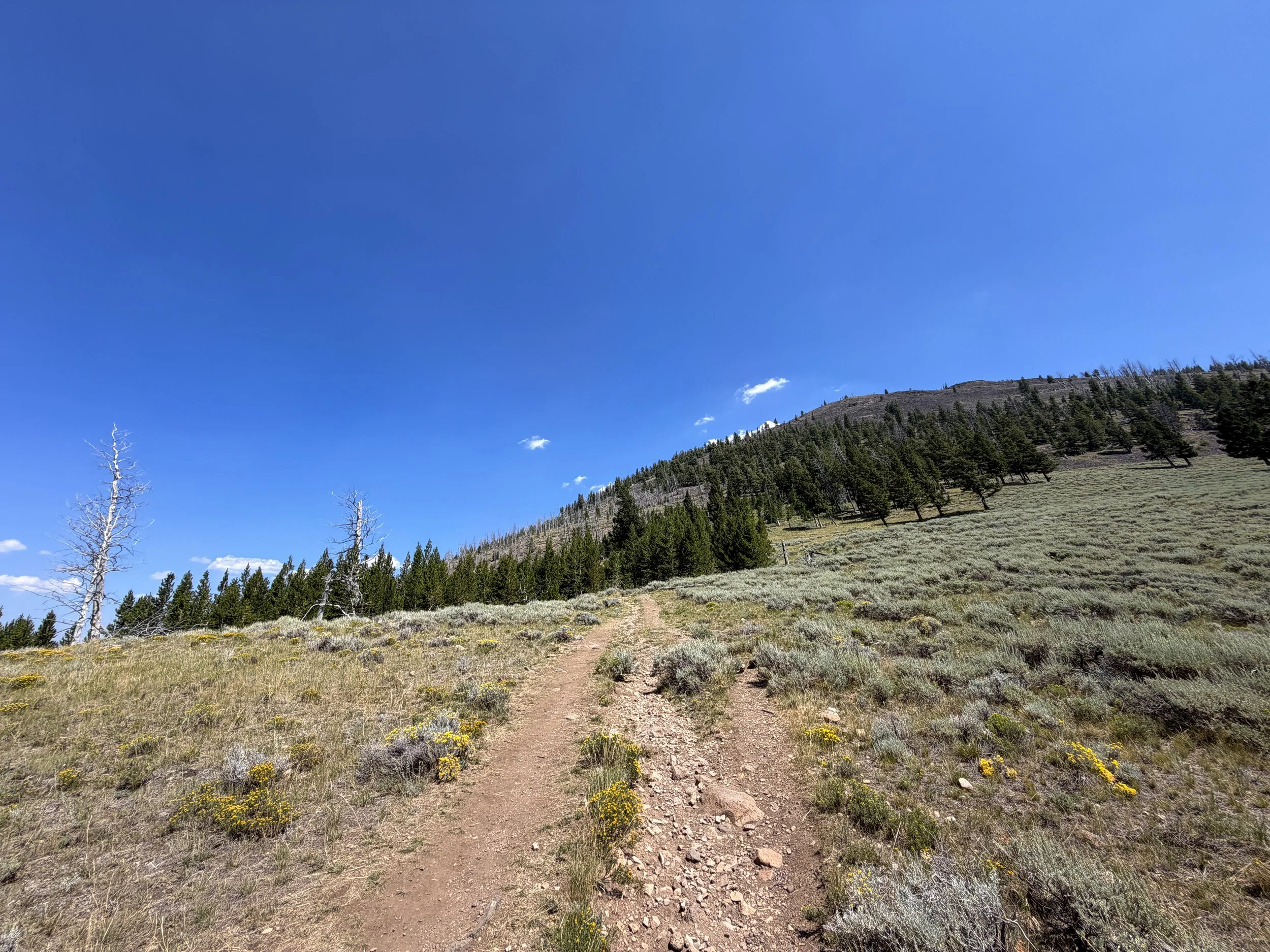 Bunsen Peak Hike Yellowstone National Park Wyoming