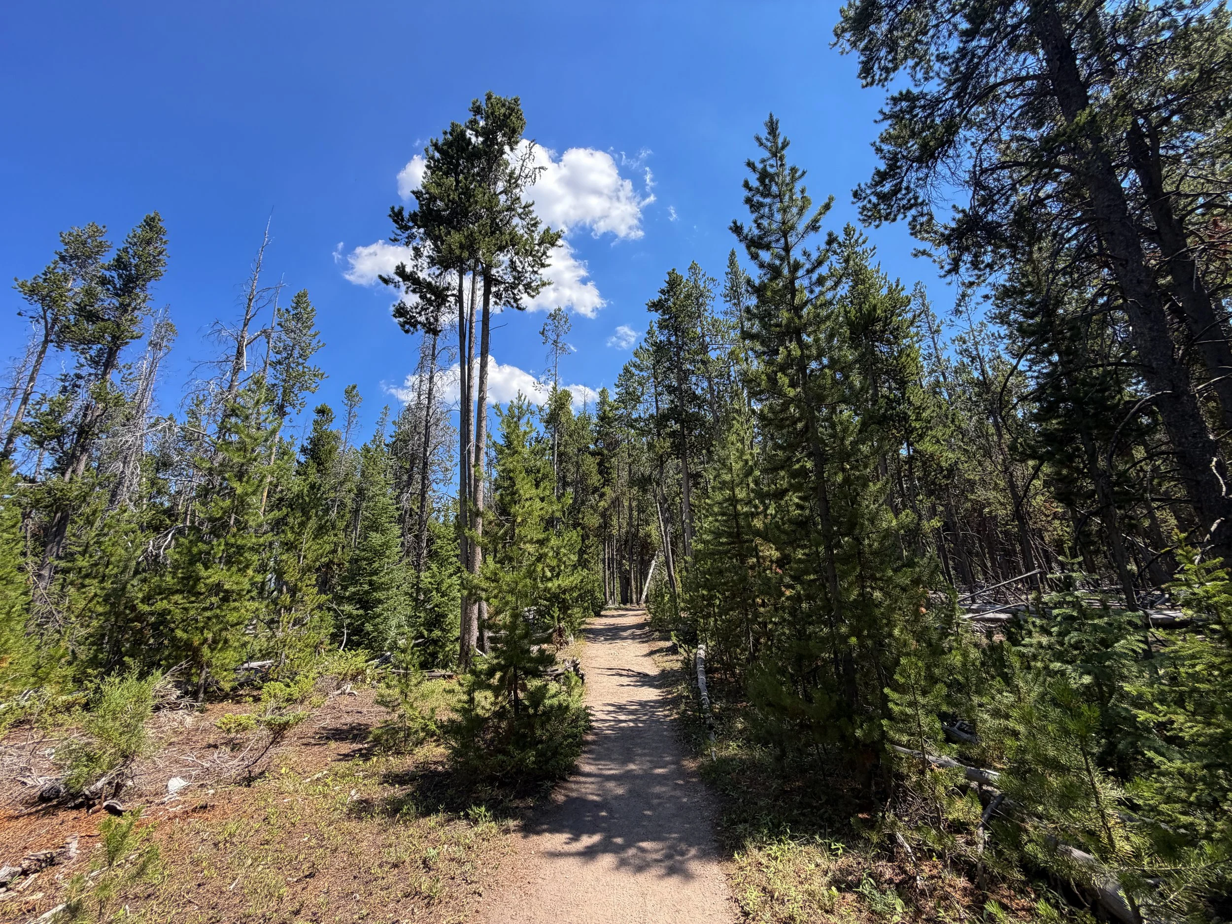 Bunsen Peak Trail Yellowstone National Park Wyoming