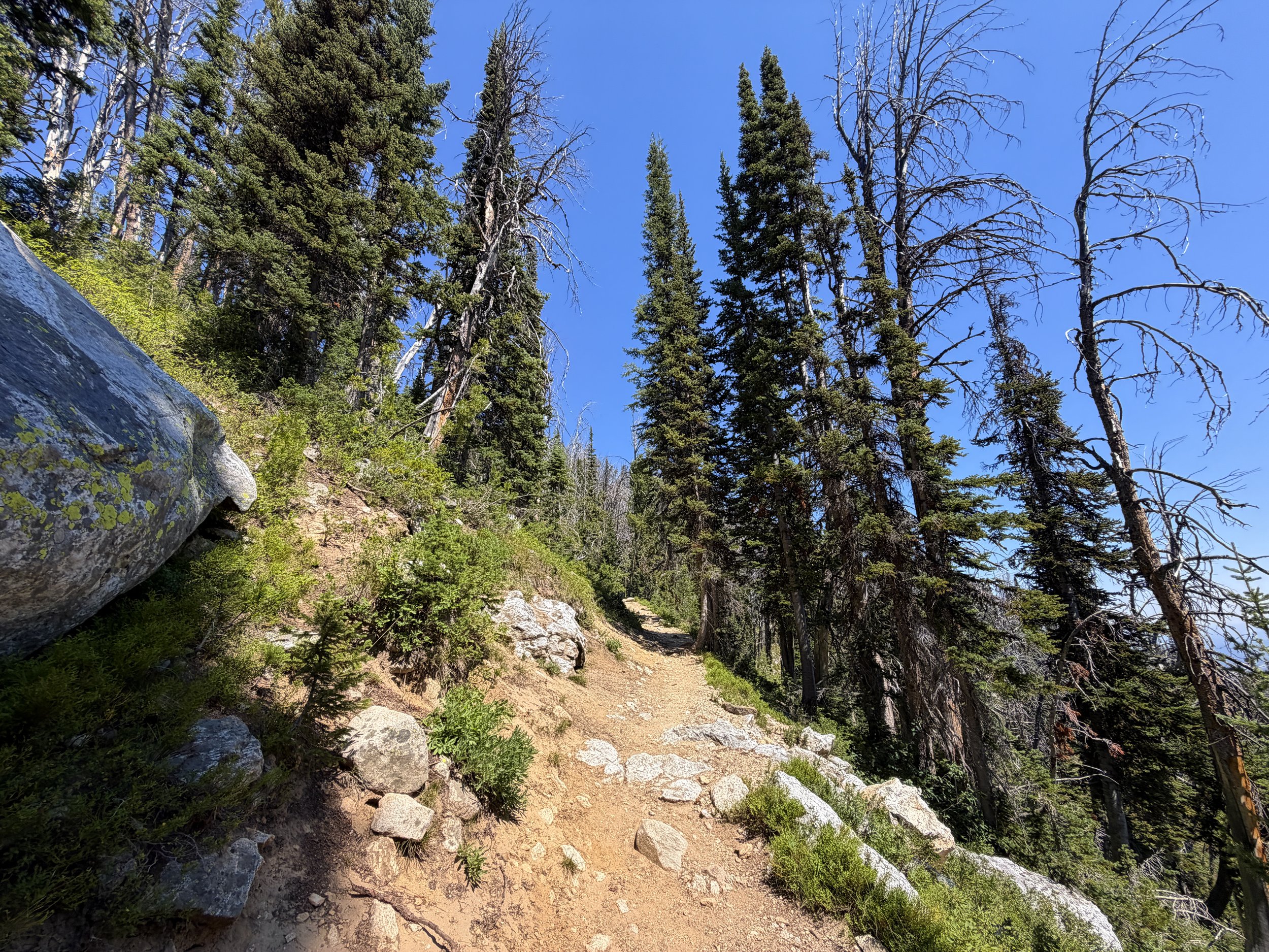 Surprise and Amphitheater Lakes Trail Grand Teton National Park Wyoming