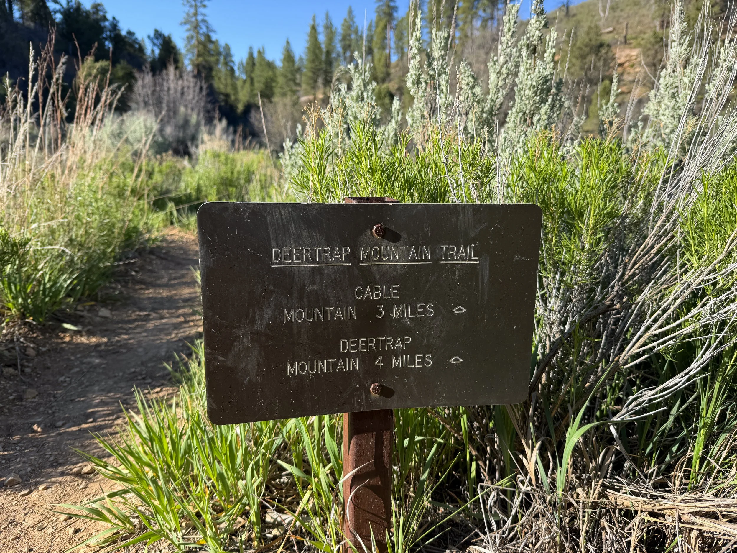 Deertrap Mountain Trail Zion National Park Utah