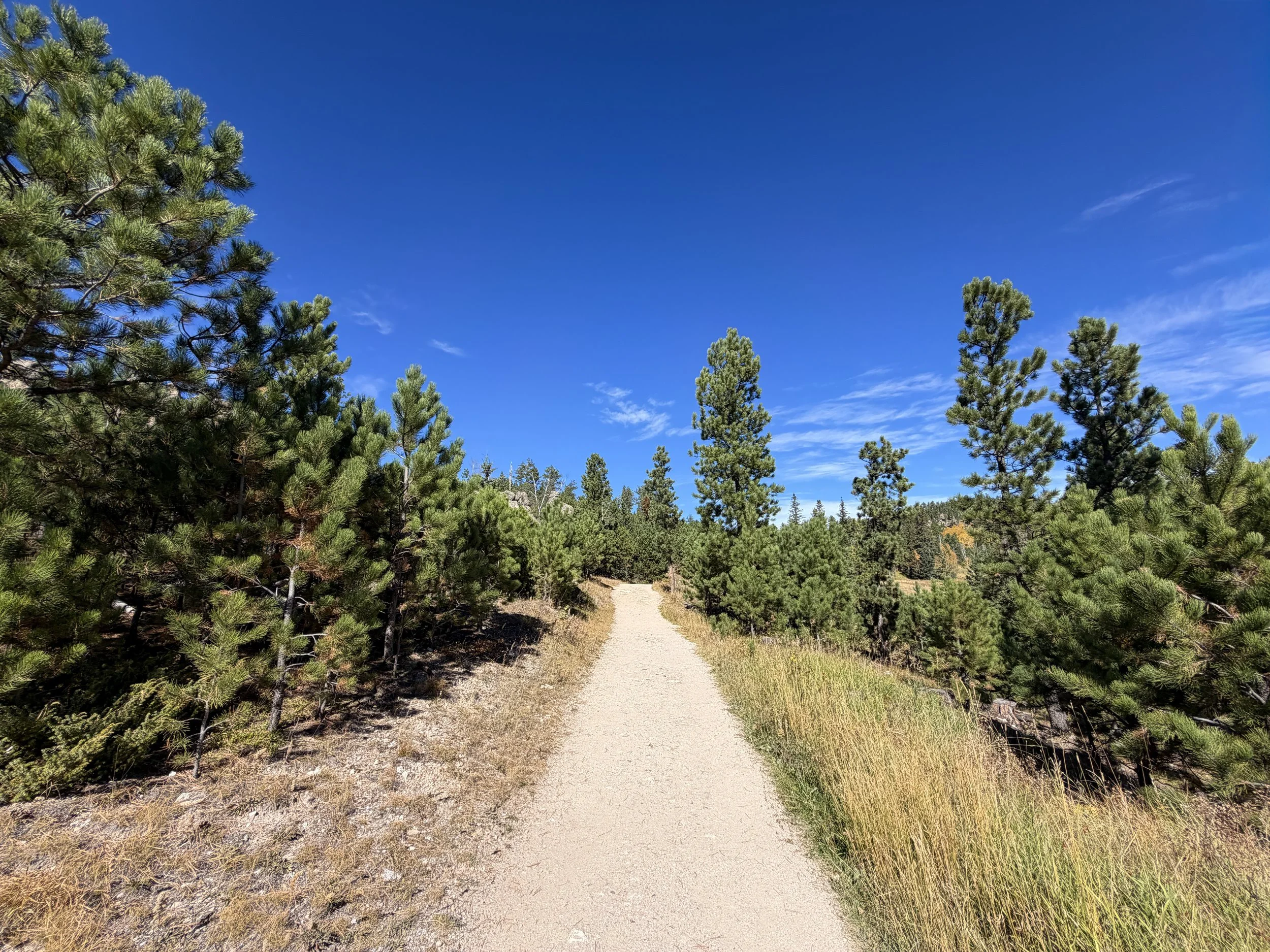Black Elk Peak Trail Custer State Park Black Hills South Dakota