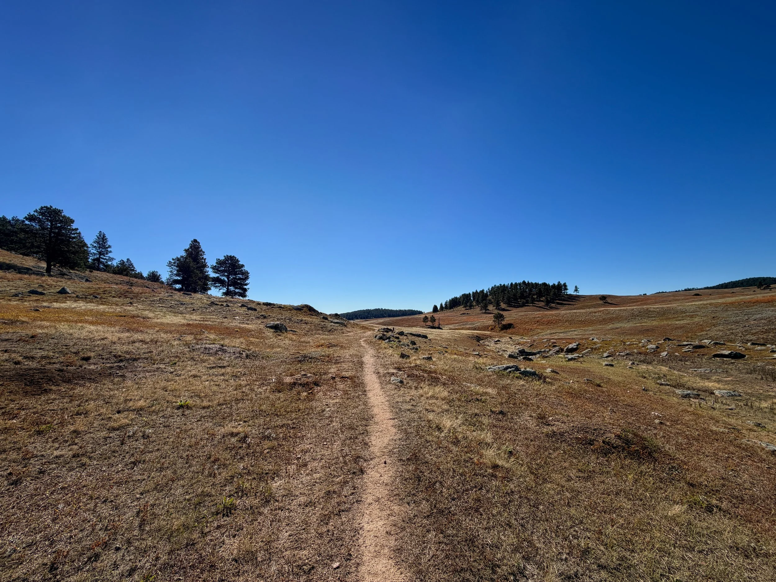 Sanctuary Trail Wind Cave National Park South Dakota