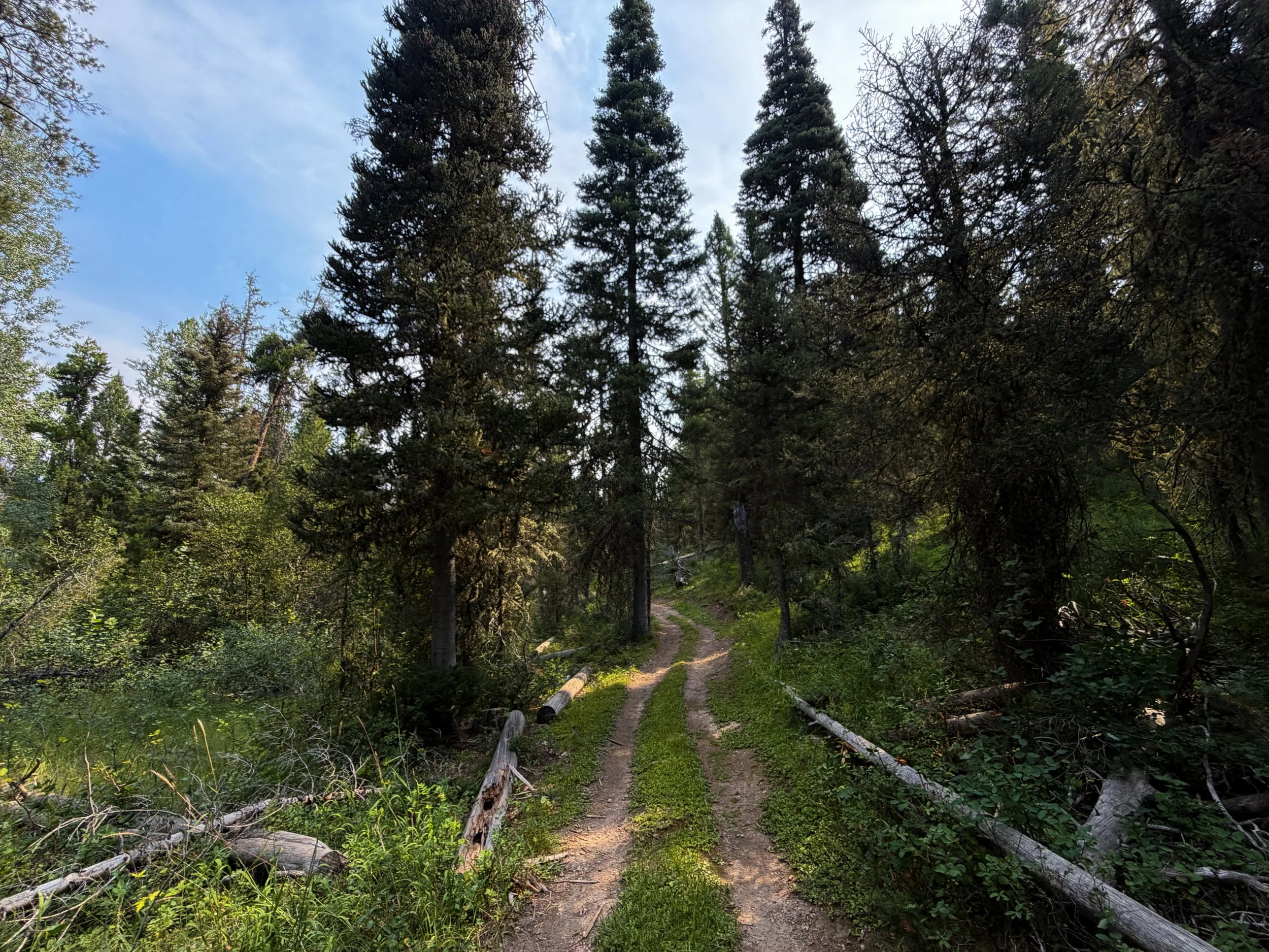Aspen Ridge Trail Grand Teton National Park Wyoming