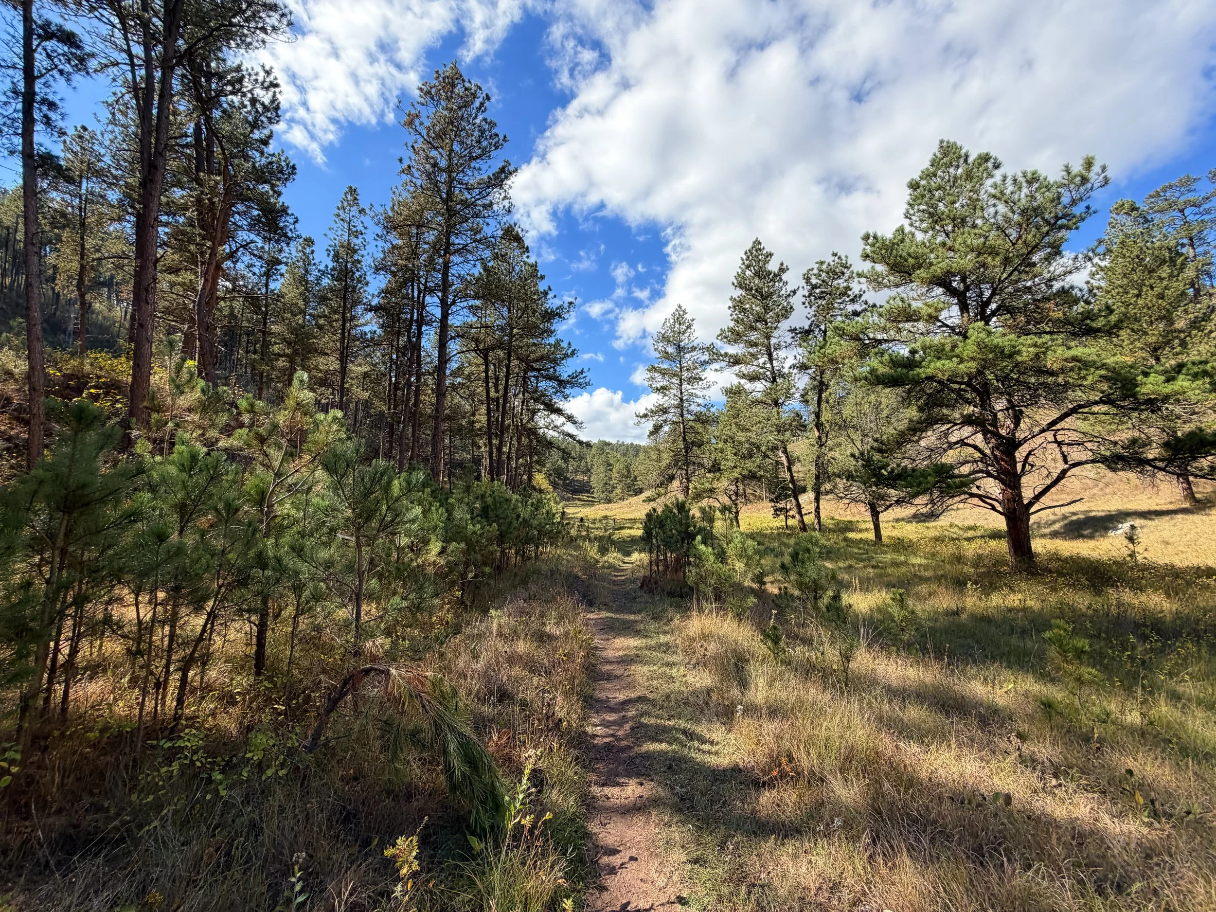 Lookout Point Loop Trail Wind Cave National Park South Dakota