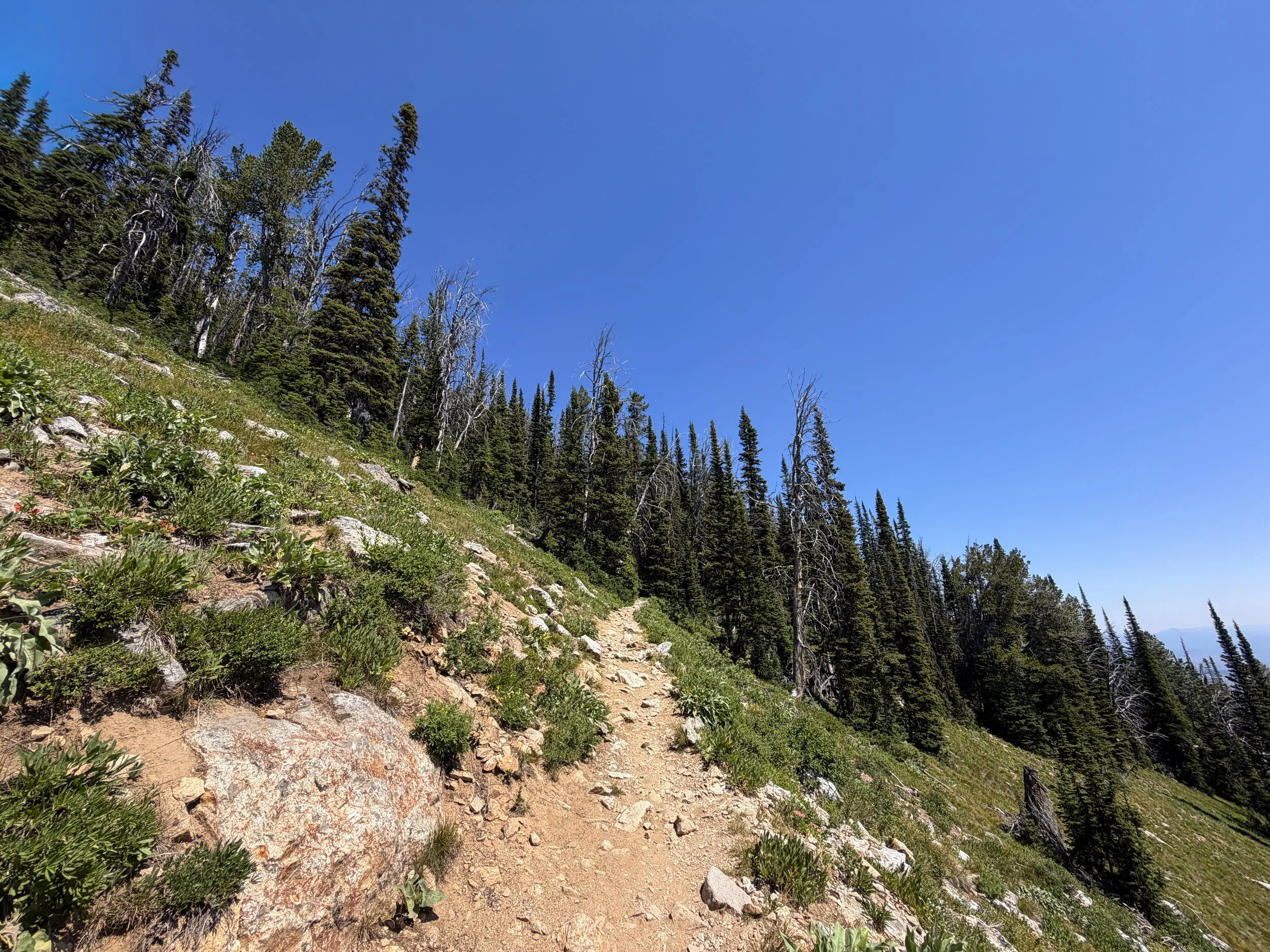 Surprise and Amphitheater Lakes Trail Grand Teton National Park Wyoming