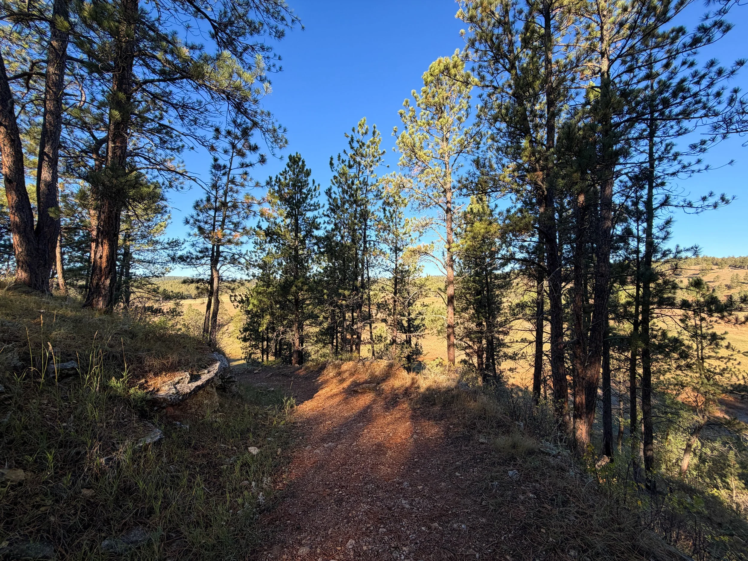 Cold Brook Canyon Trail Wind Cave National Park South Dakota