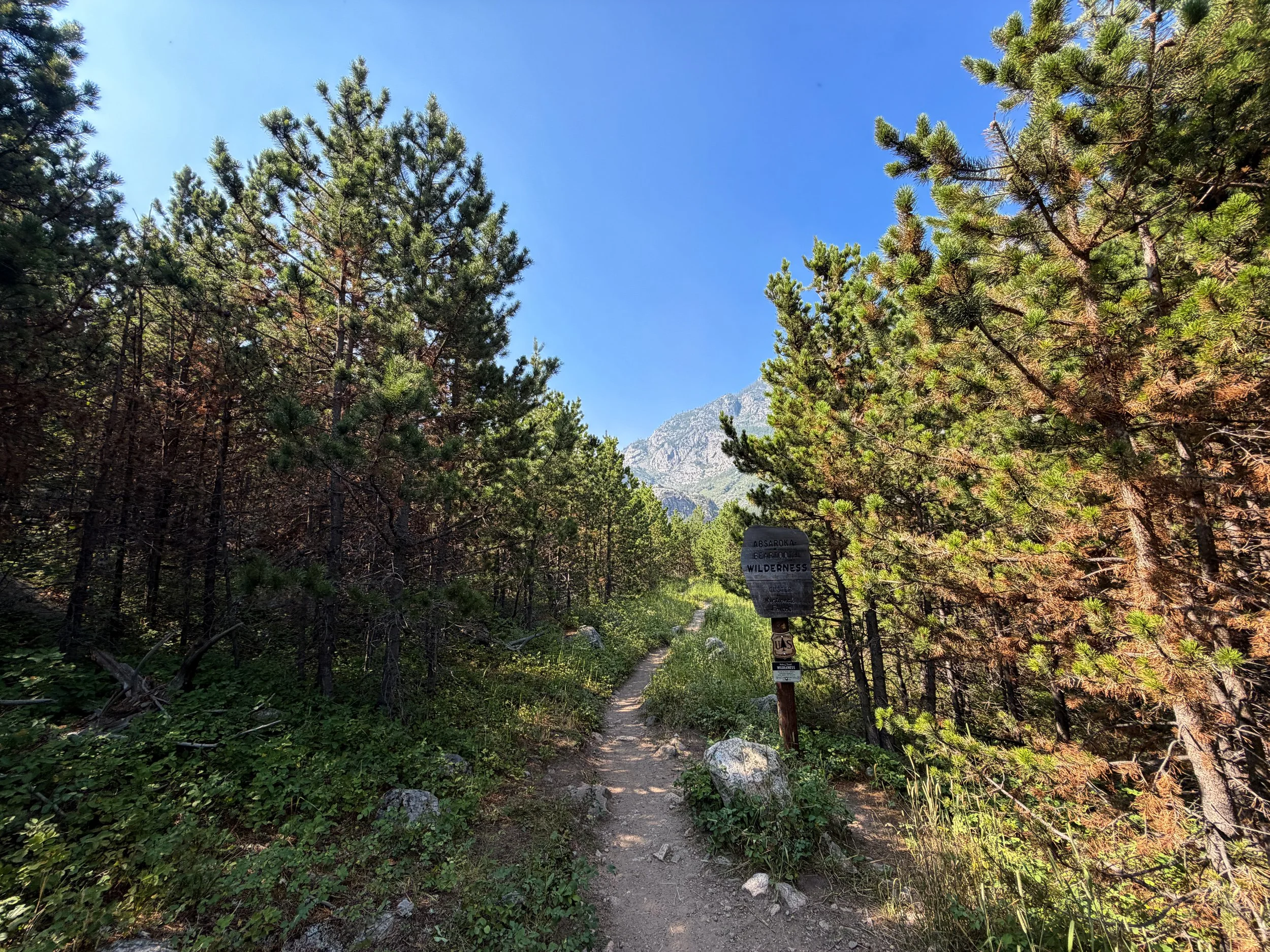 Beaten Path Trail Beartooth Mountains Montana