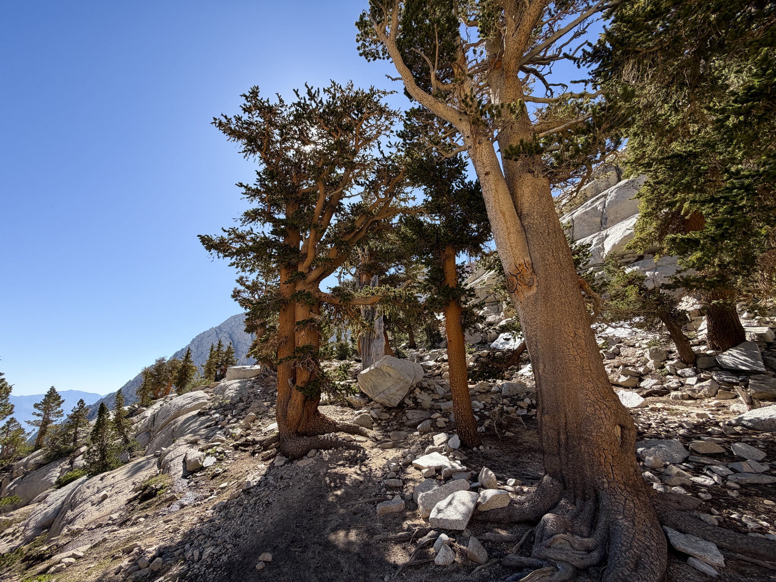 Mt. Whitney Trail to Trail Camp California