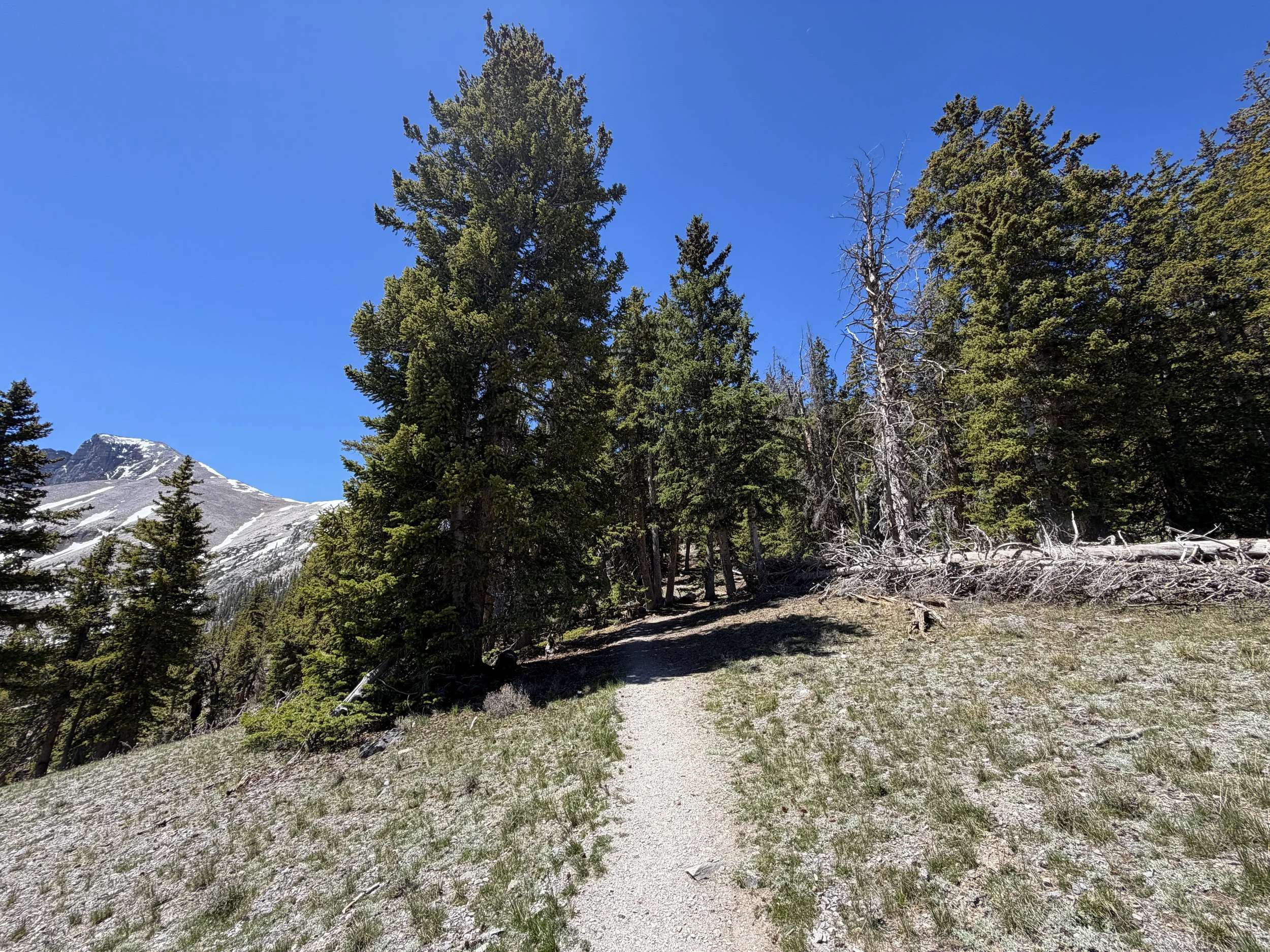 Wheeler Peak Hike Great Basin National Park Nevada