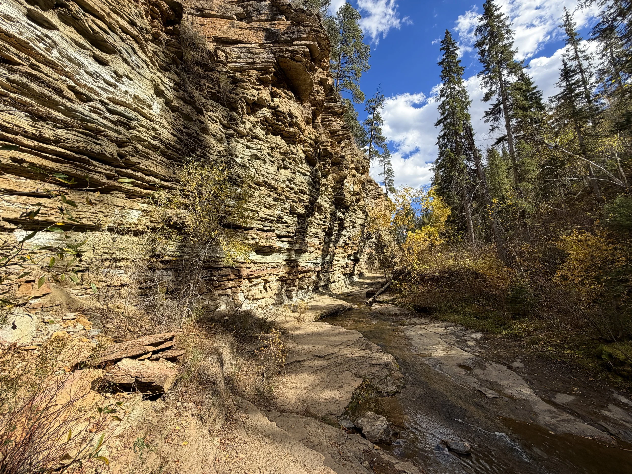 Devils Bathtub Trail Spearfish Canyon Black Hills South Dakota