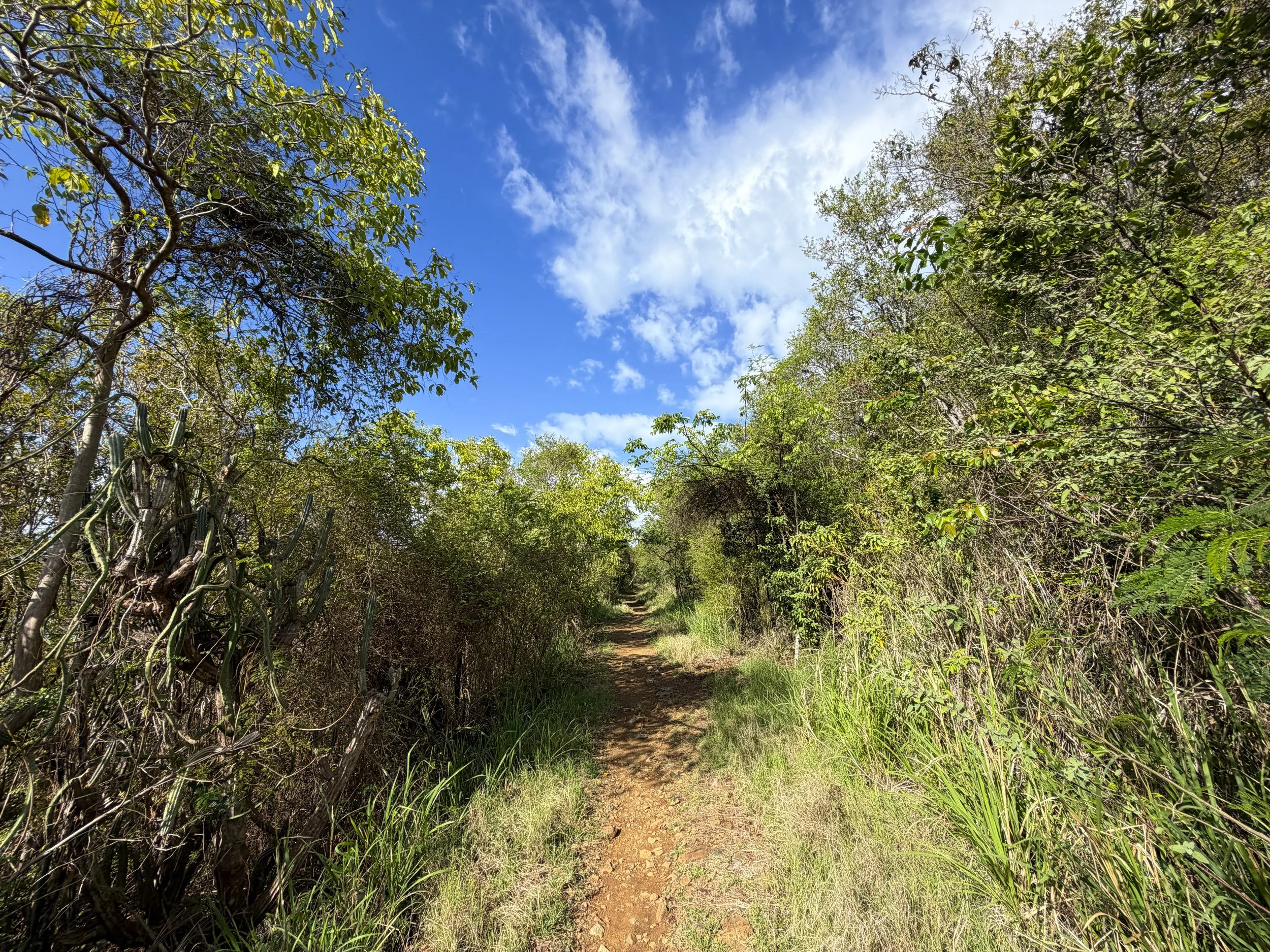 Lind Point Hike Virgin Islands National Park
