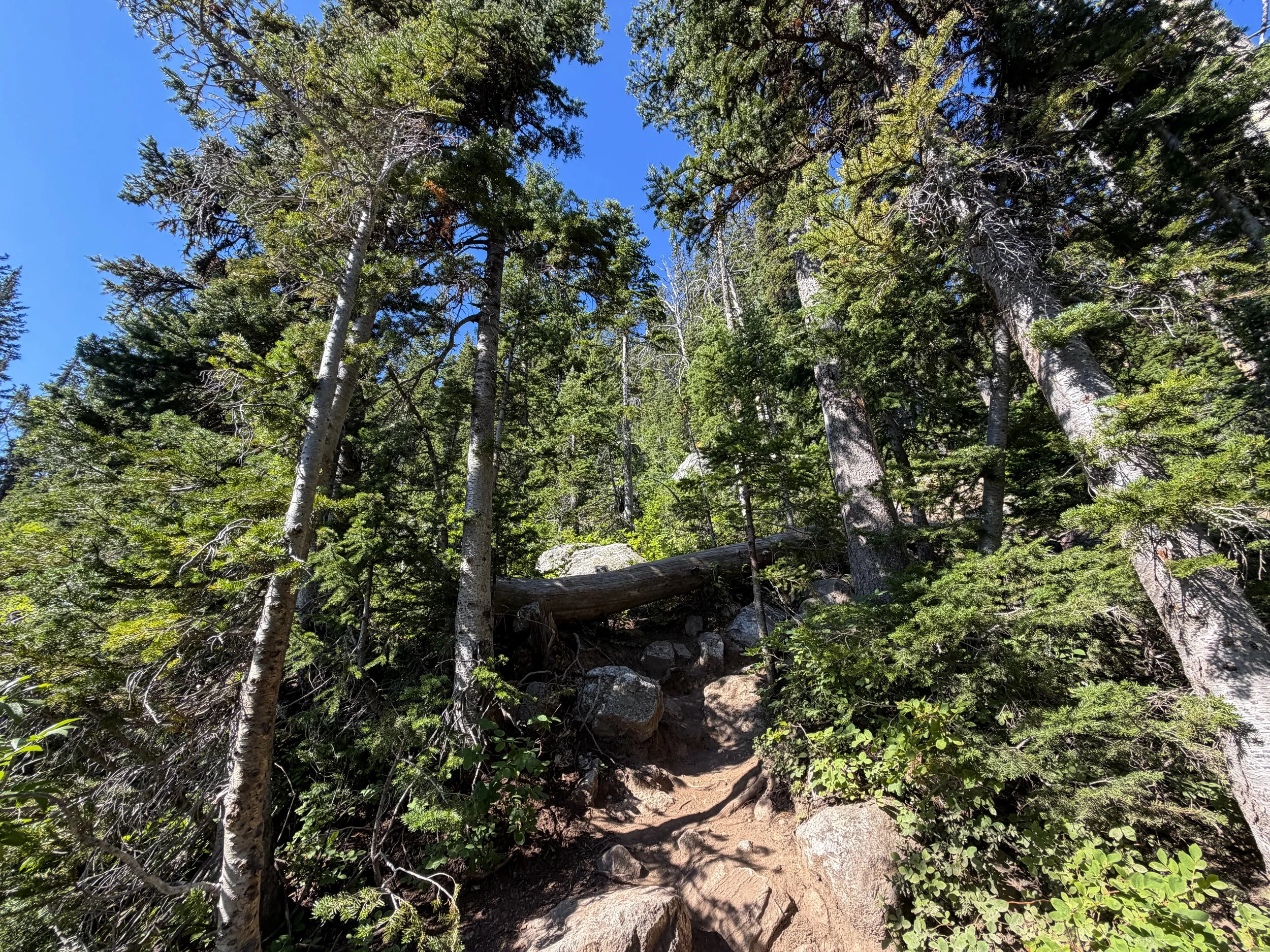 Delta Lake Trail Grand Teton National Park Wyoming