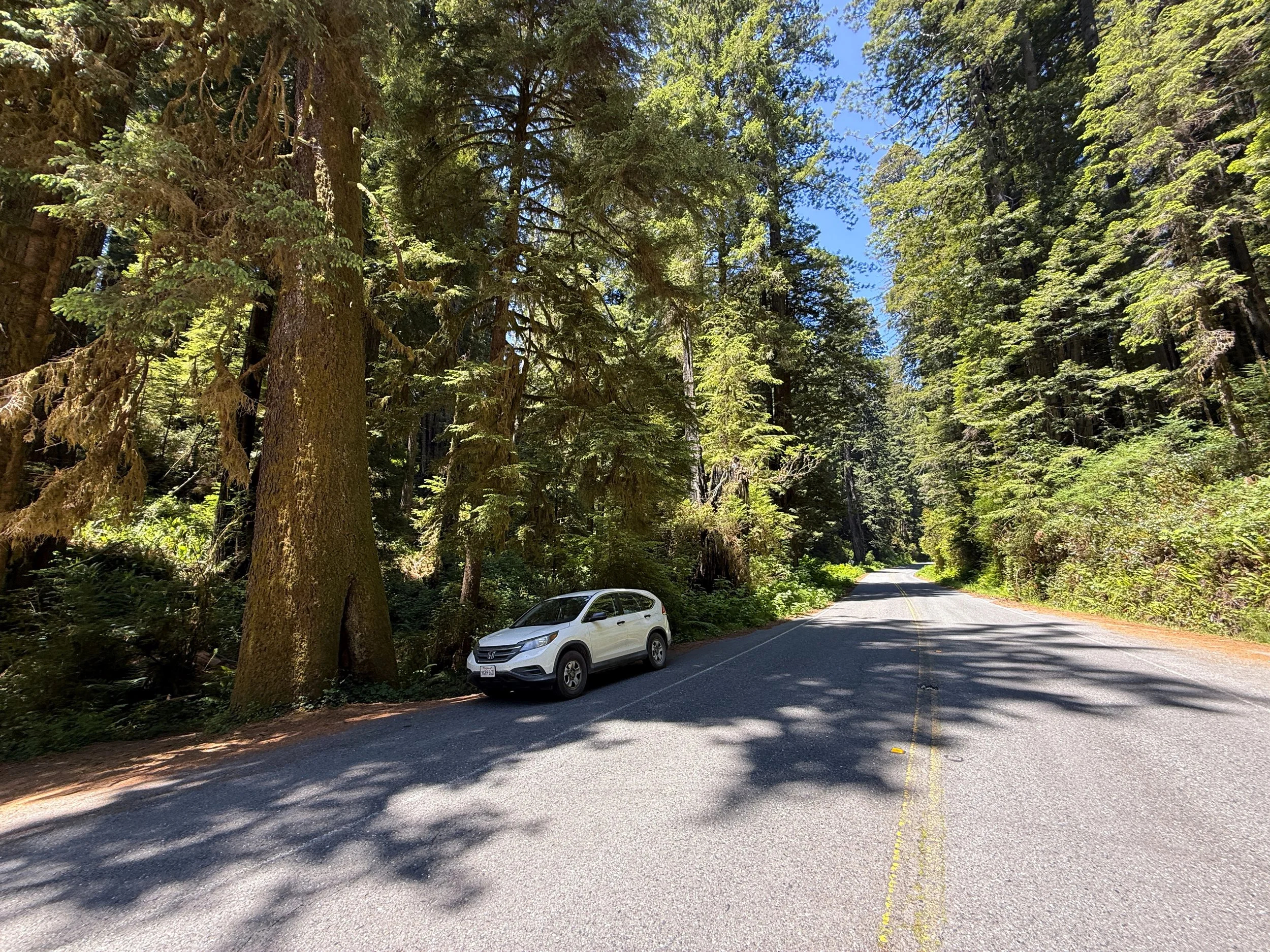 Hope Creek-Ten Taypo Loop Trailhead Parking Prairie Creek Redwoods State Park California