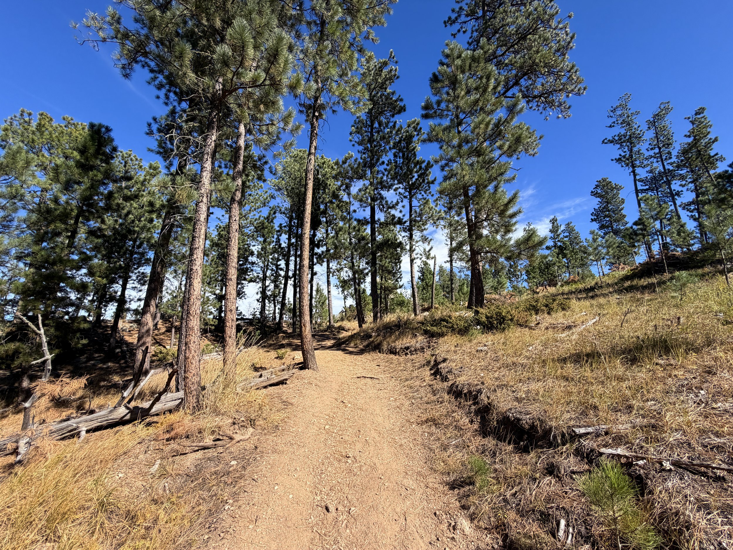 Sunday Gulch Trail Custer State Park Black Hills South Dakota