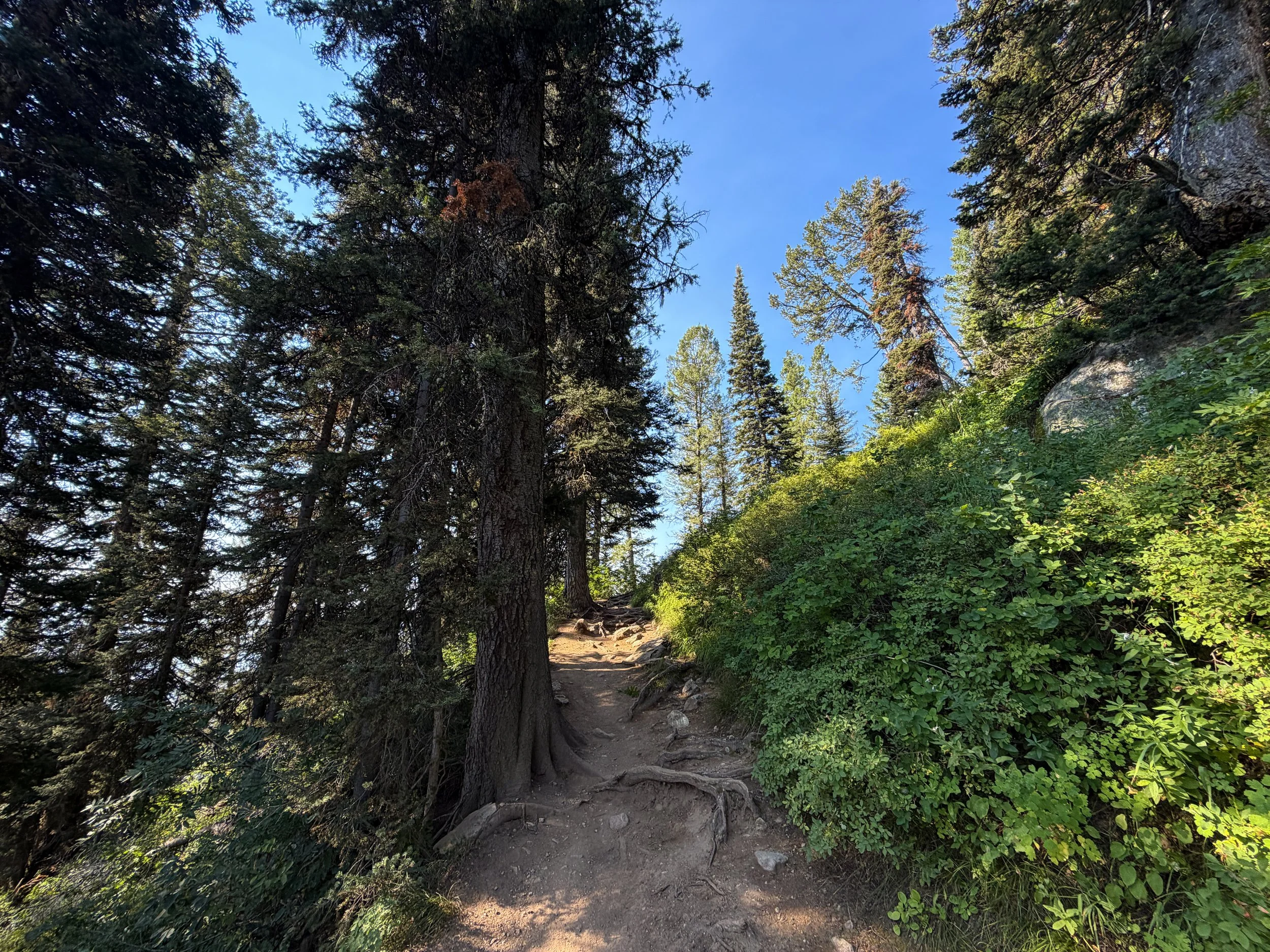 Delta Lake Trail Grand Teton National Park Wyoming