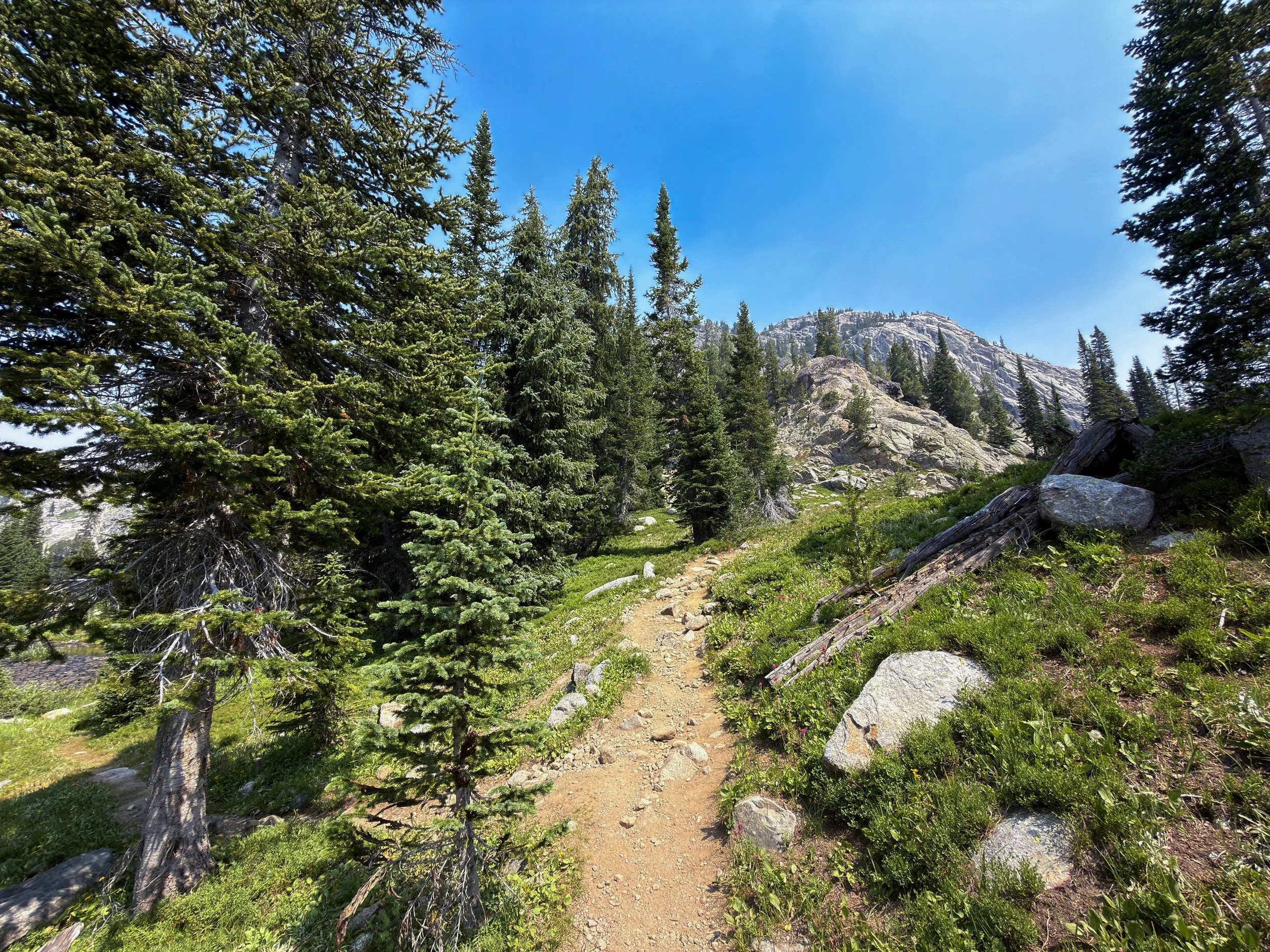 Russel Creek Trail The Beaten Path Beartooth Mountains Montana