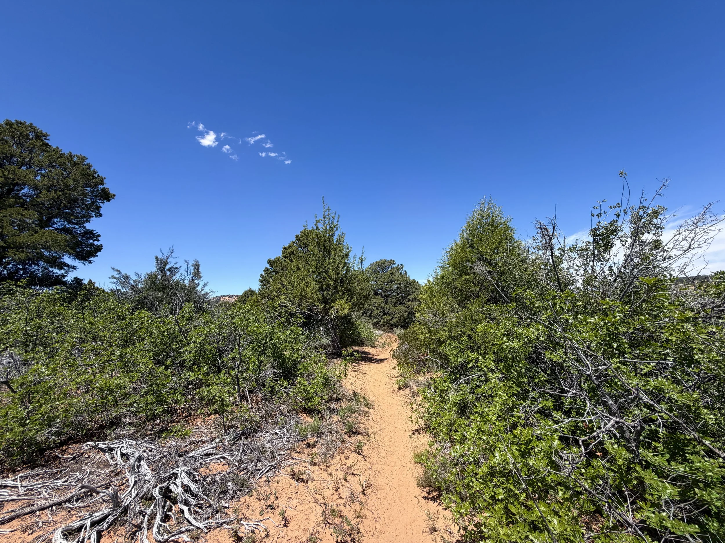 Cable Mountain Trail Zion National Park Utah