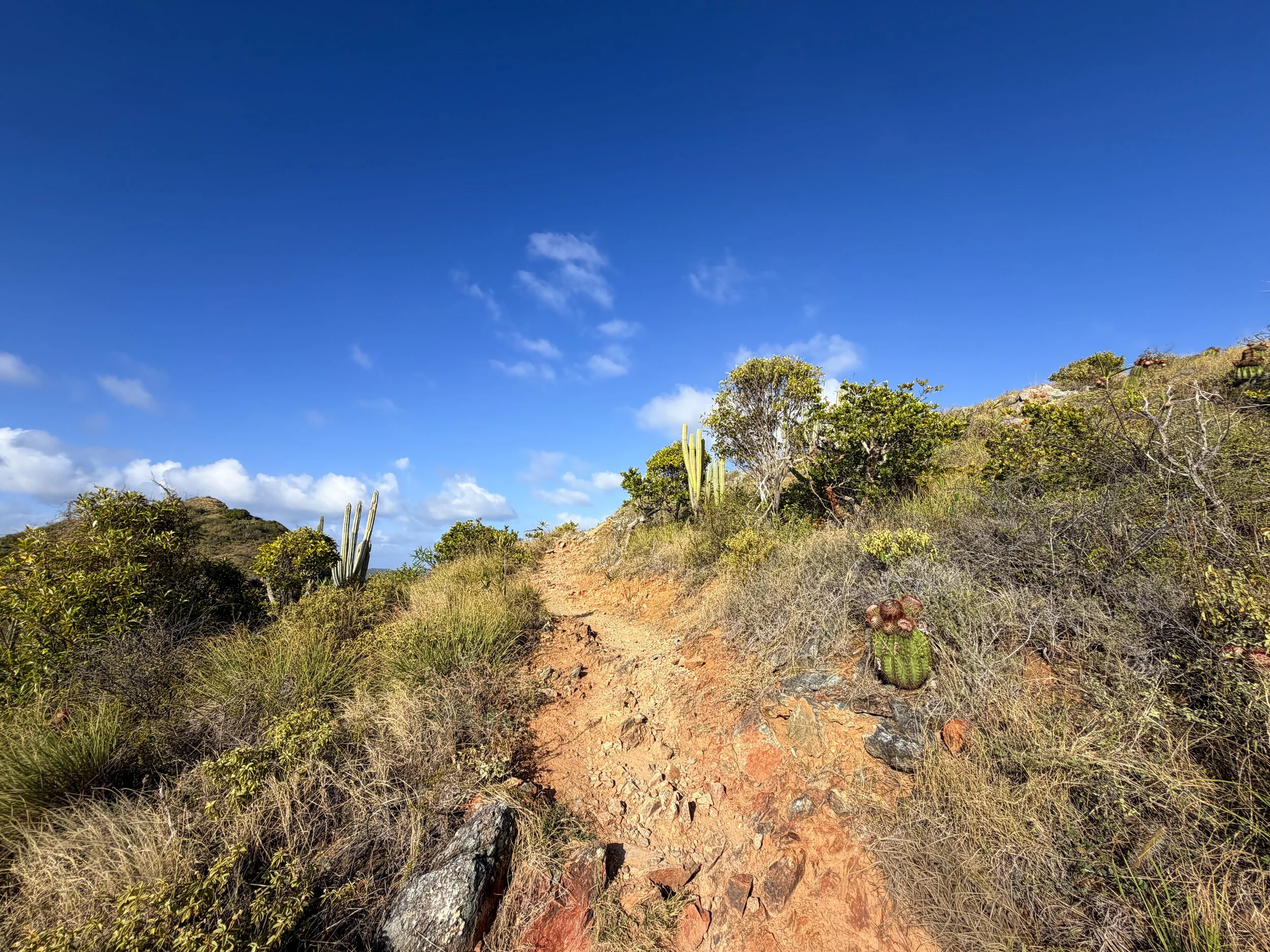 Ram Head Trail Virgin Islands National Park