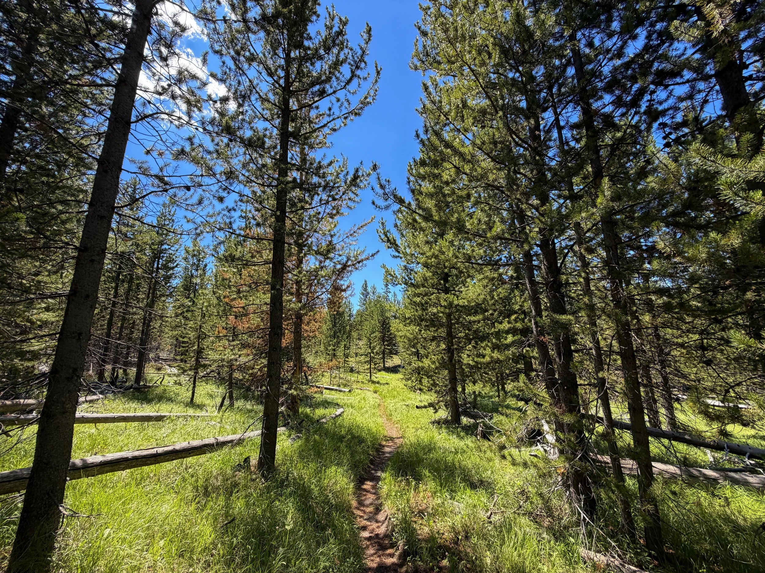 Fern Cascade Loop Trail Yellowstone National Park Wyoming