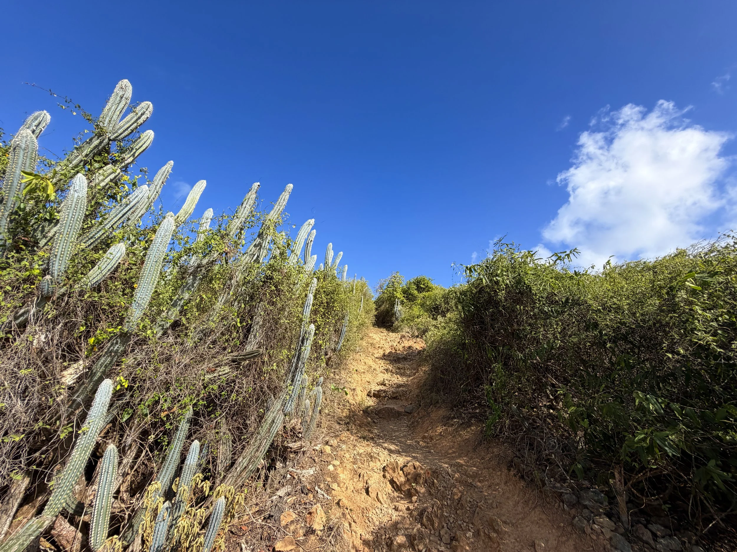 Ram Head Hike Virgin Islands National Park