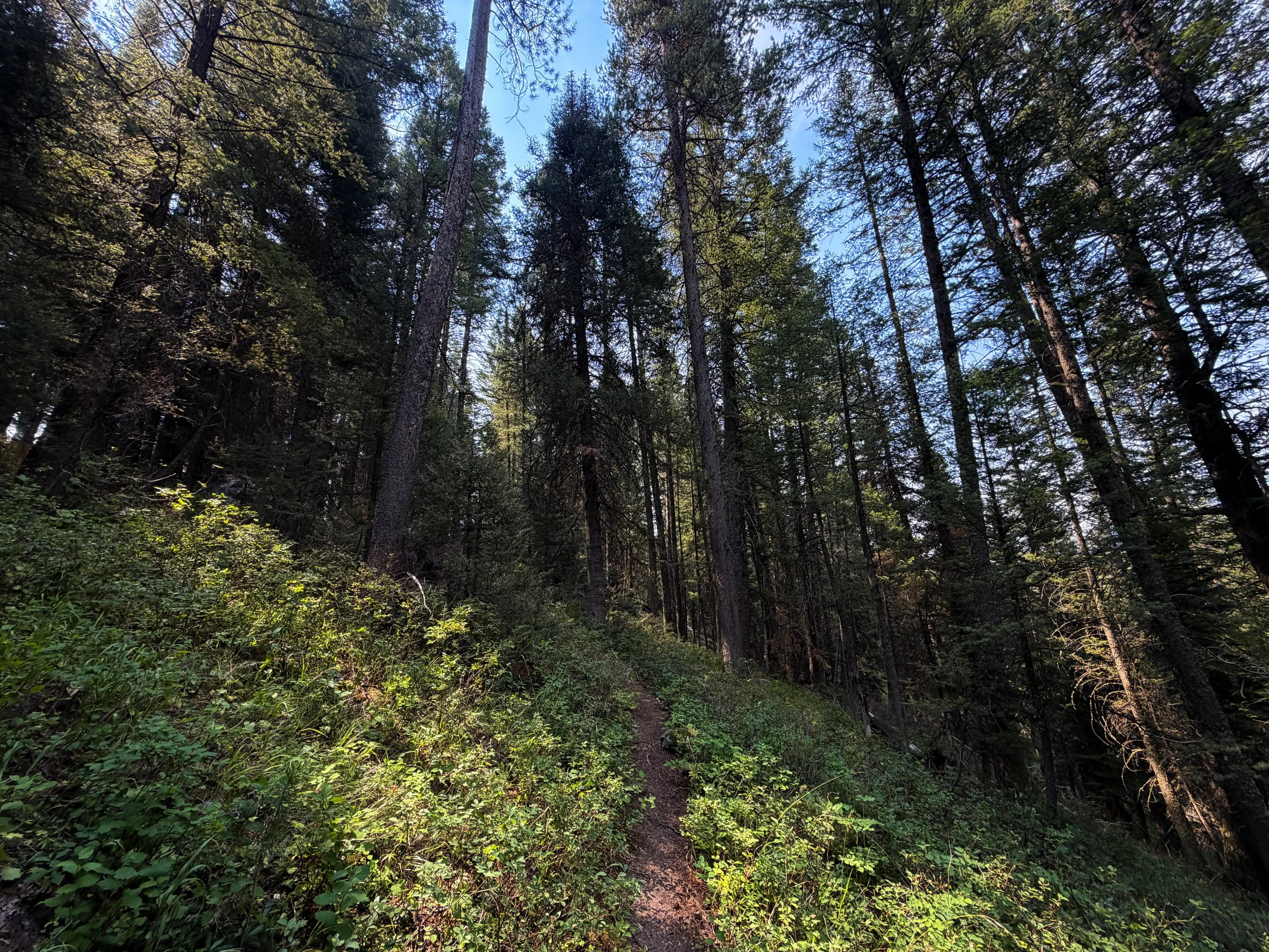 Boulder Ridge Loop Trail Grand Teton National Park Wyoming