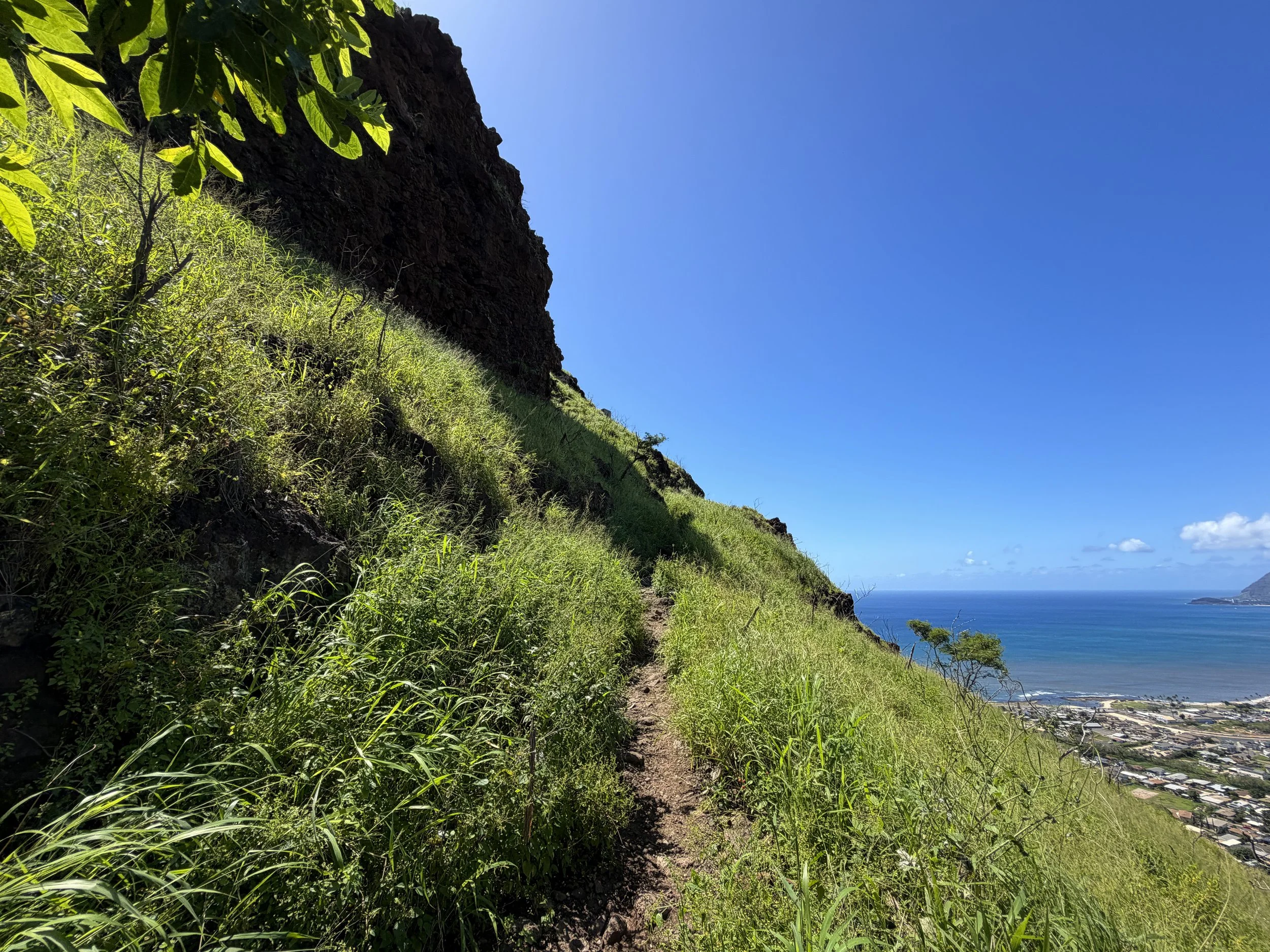 Puu O Hulu Trail to Pink Pillbox Oahu Hawaii