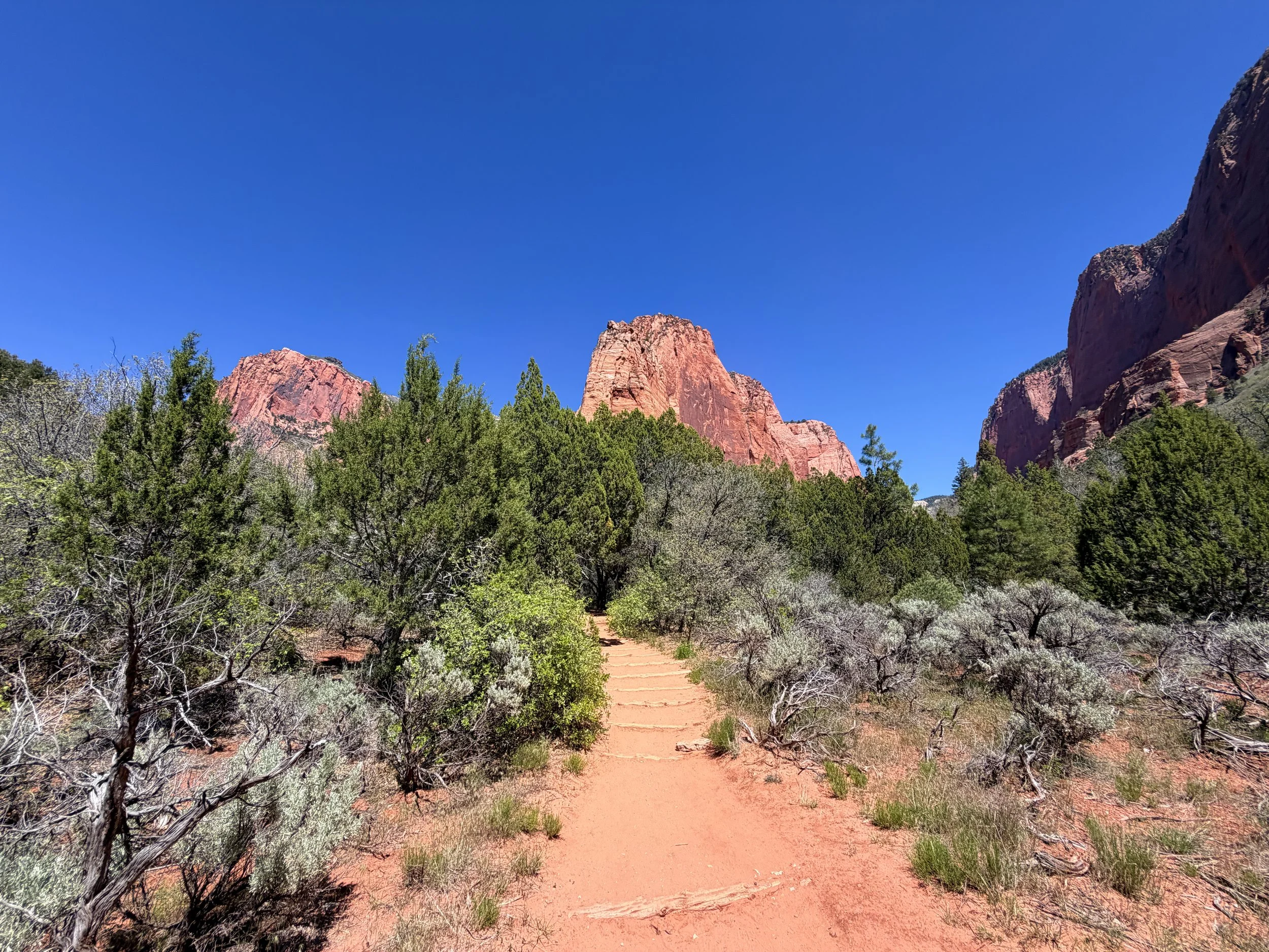 Taylor Creek Trail to Double Arch Alcove Zion National Park Utah