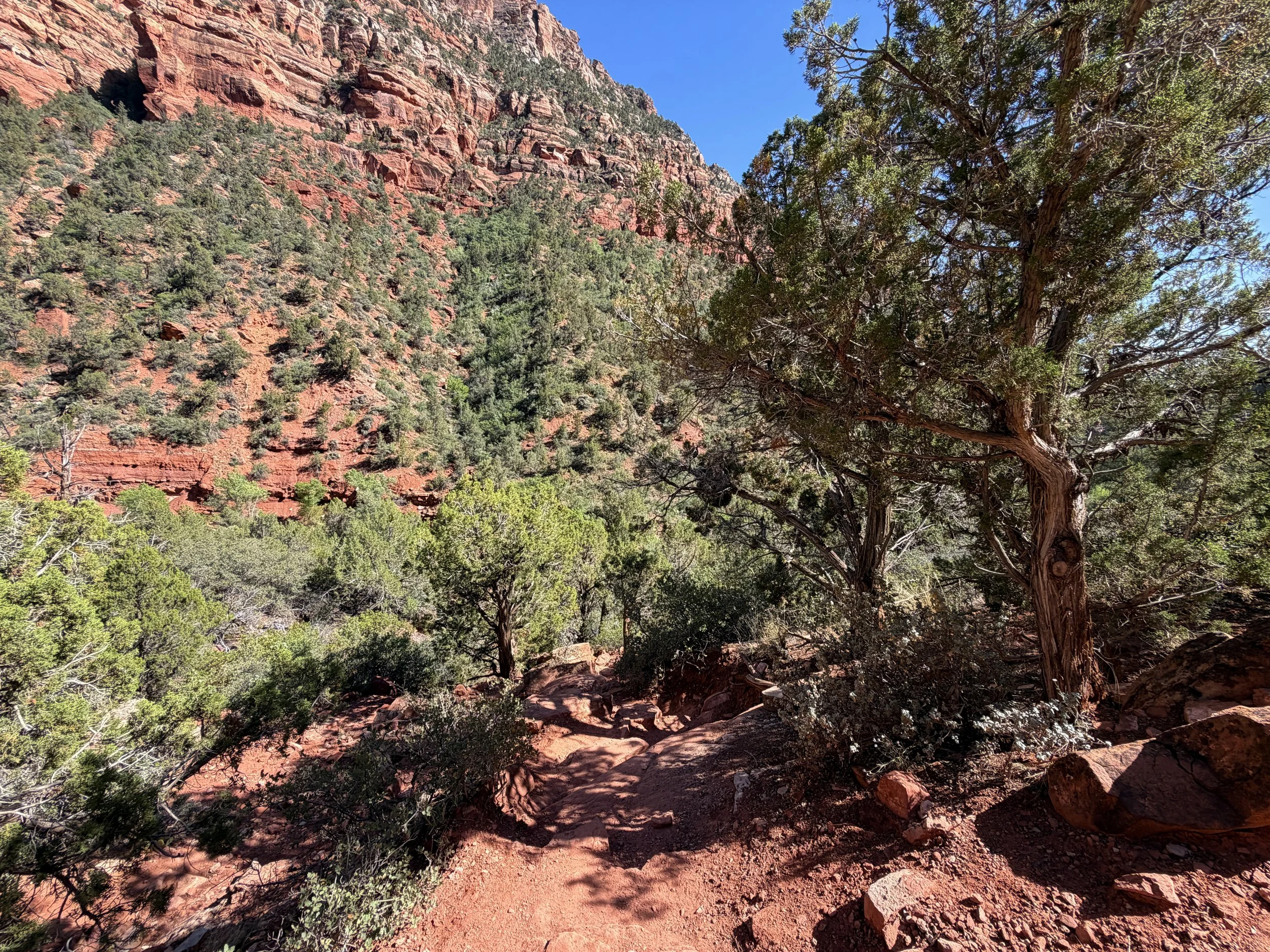 Subway Trail Left Fork North Creek Zion National Park Utah